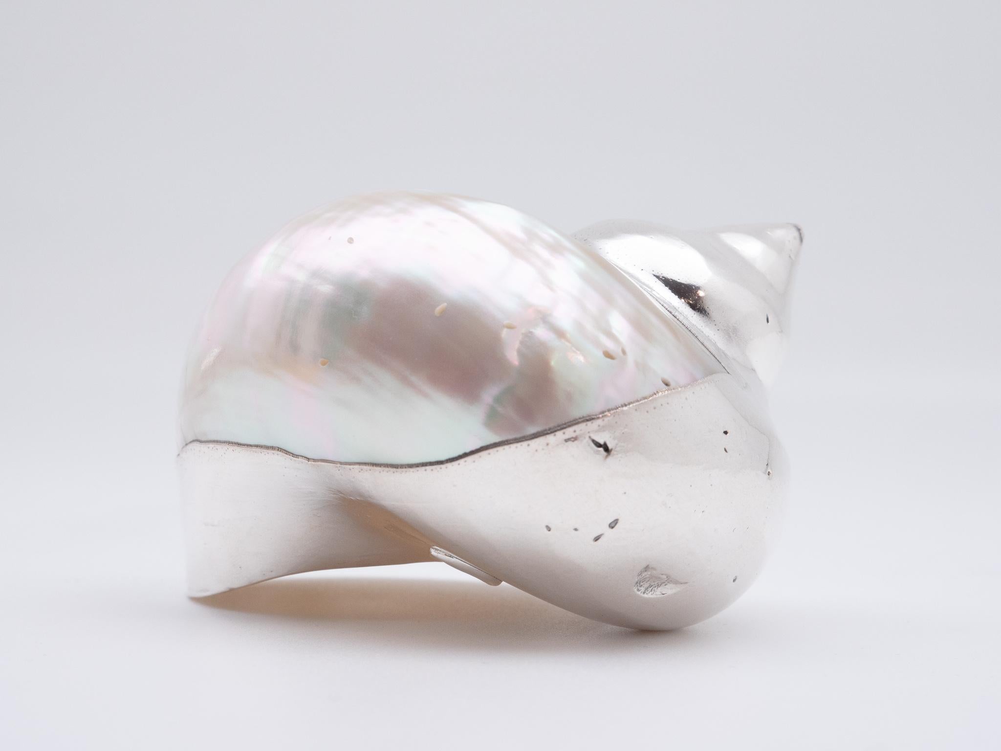 Turbo mother of pearl partially silvered shell 4