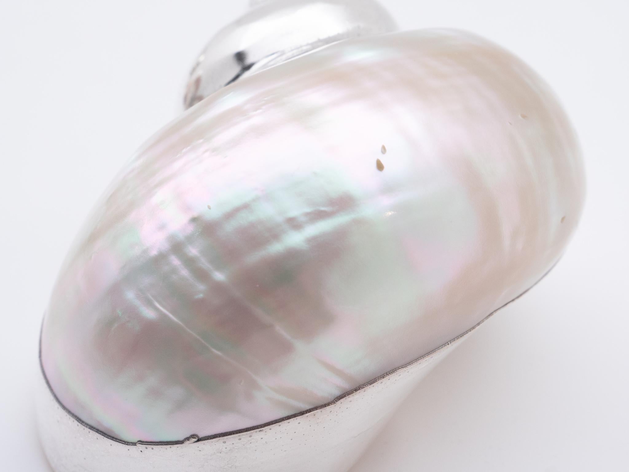 Italian Partially Silvered Sea Shell Turbo Mother of Pearl