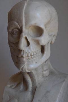 Particolare Scultura "Anatomica" in marmo bianco di Carrara
