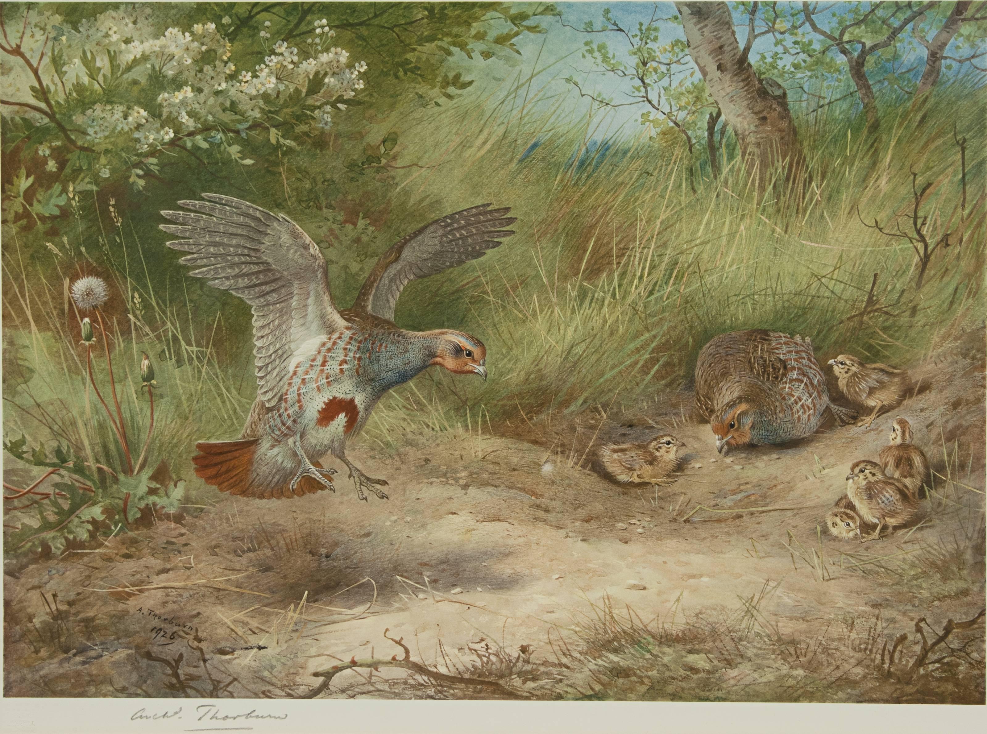 archibald thorburn prints