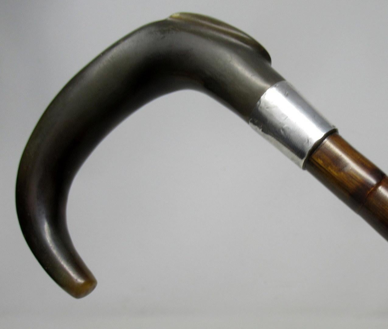 English Partridge Wood Walking Stick Cane Horn Crook Handle Sterling Silver Collar 1900