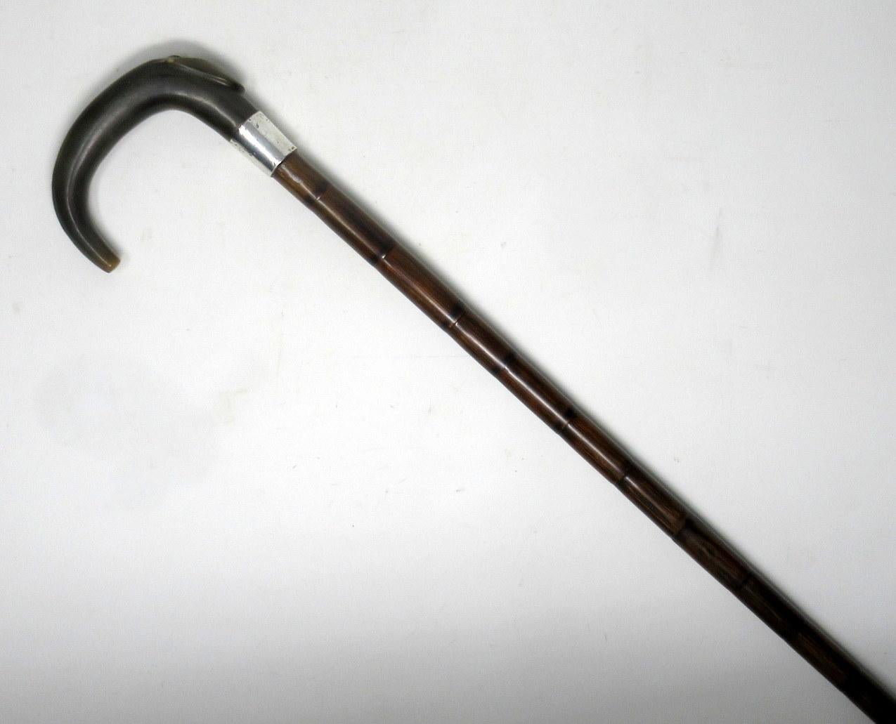 Embossed Partridge Wood Walking Stick Cane Horn Crook Handle Sterling Silver Collar 1900