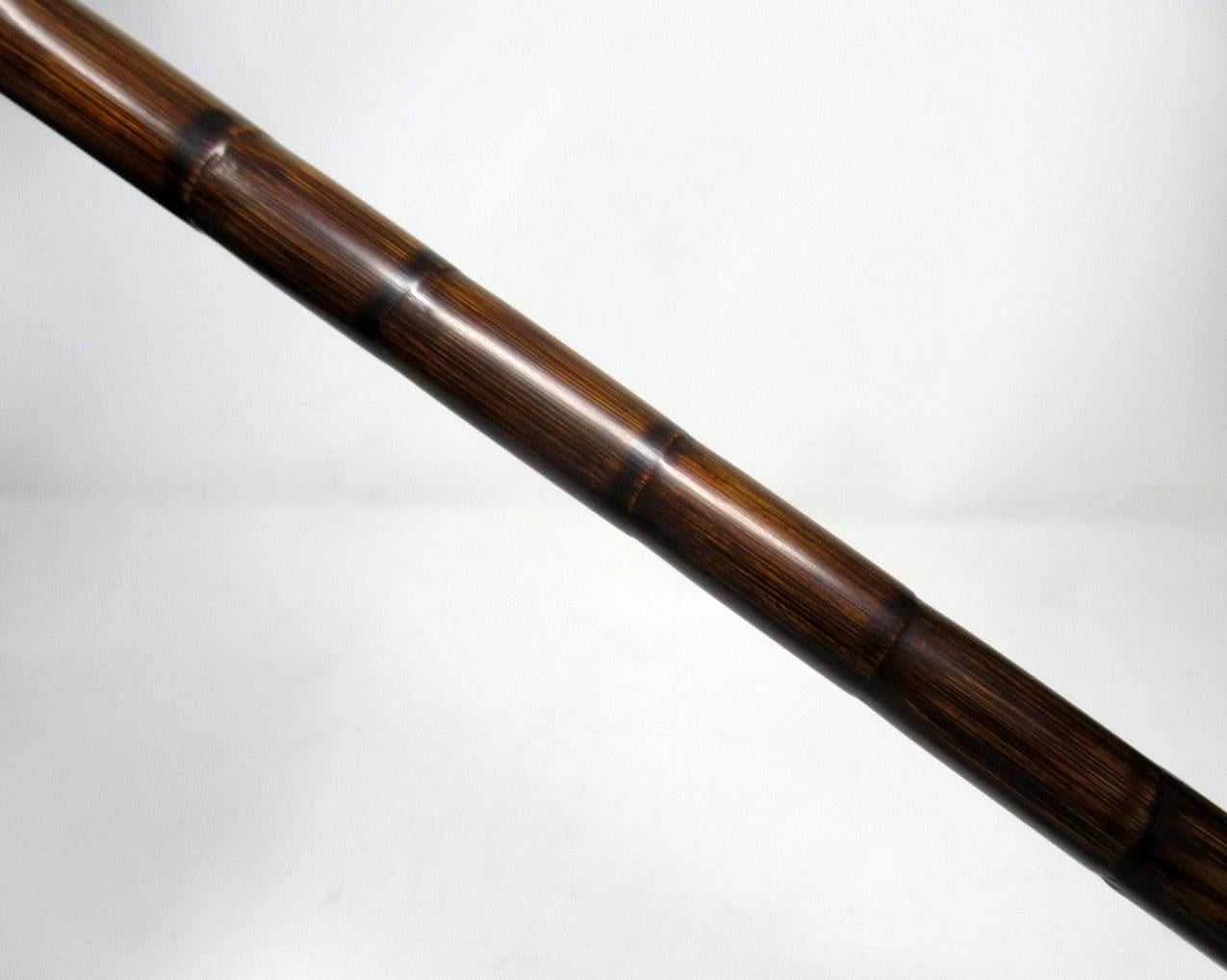 Partridge Wood Walking Stick Cane Horn Crook Handle Sterling Silver Collar 1900 2