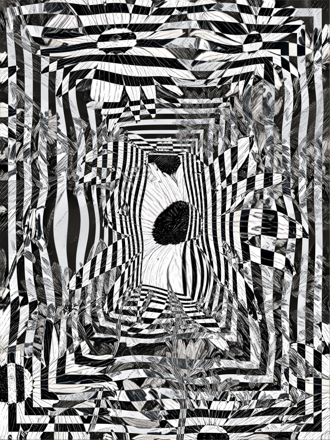 Parvathi Kumar Abstract Photograph - Summer-saults, black and white floral experimental digital photo based art