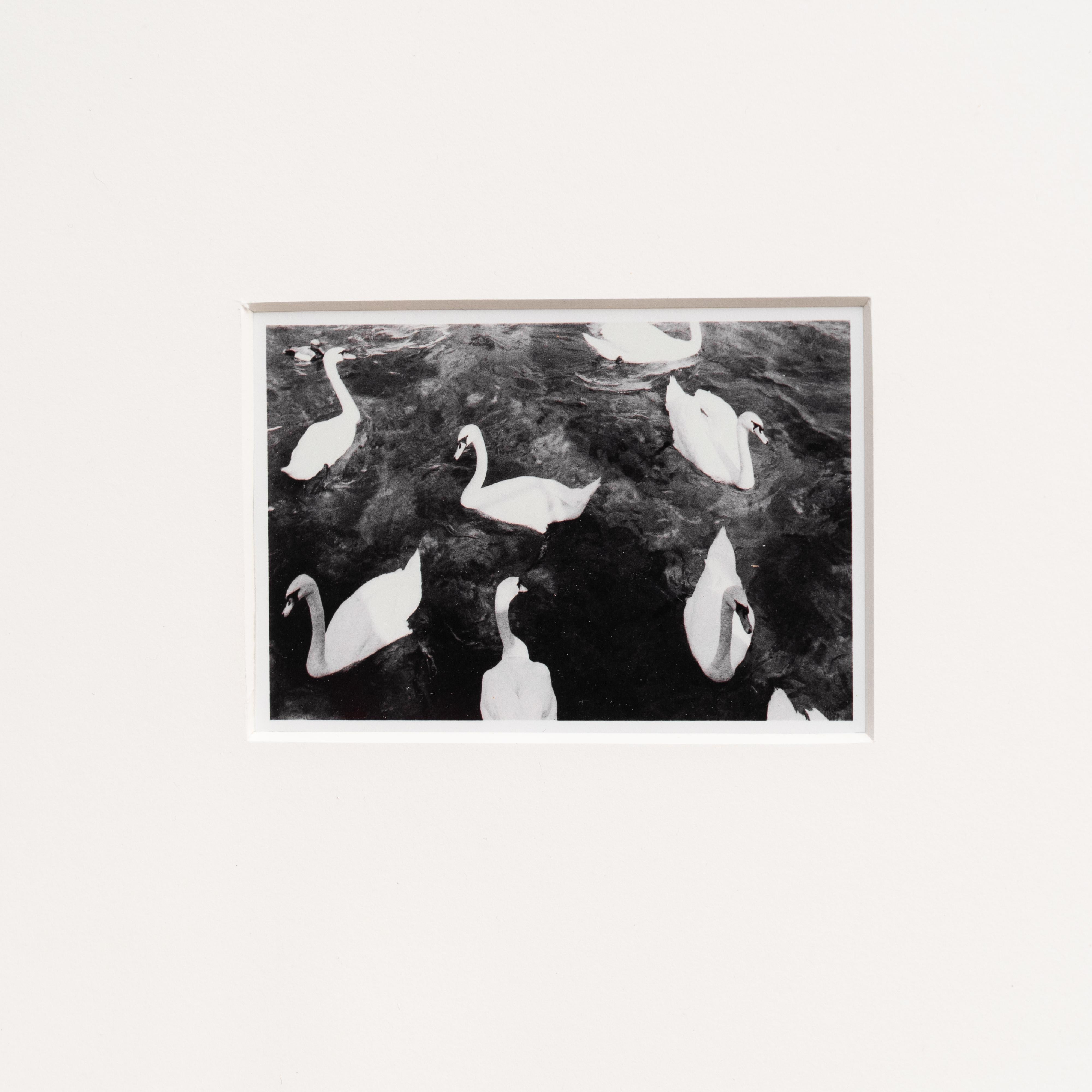 Mid-Century Modern Pascal et Vastian, photographie encadrée en noir et blanc en vente