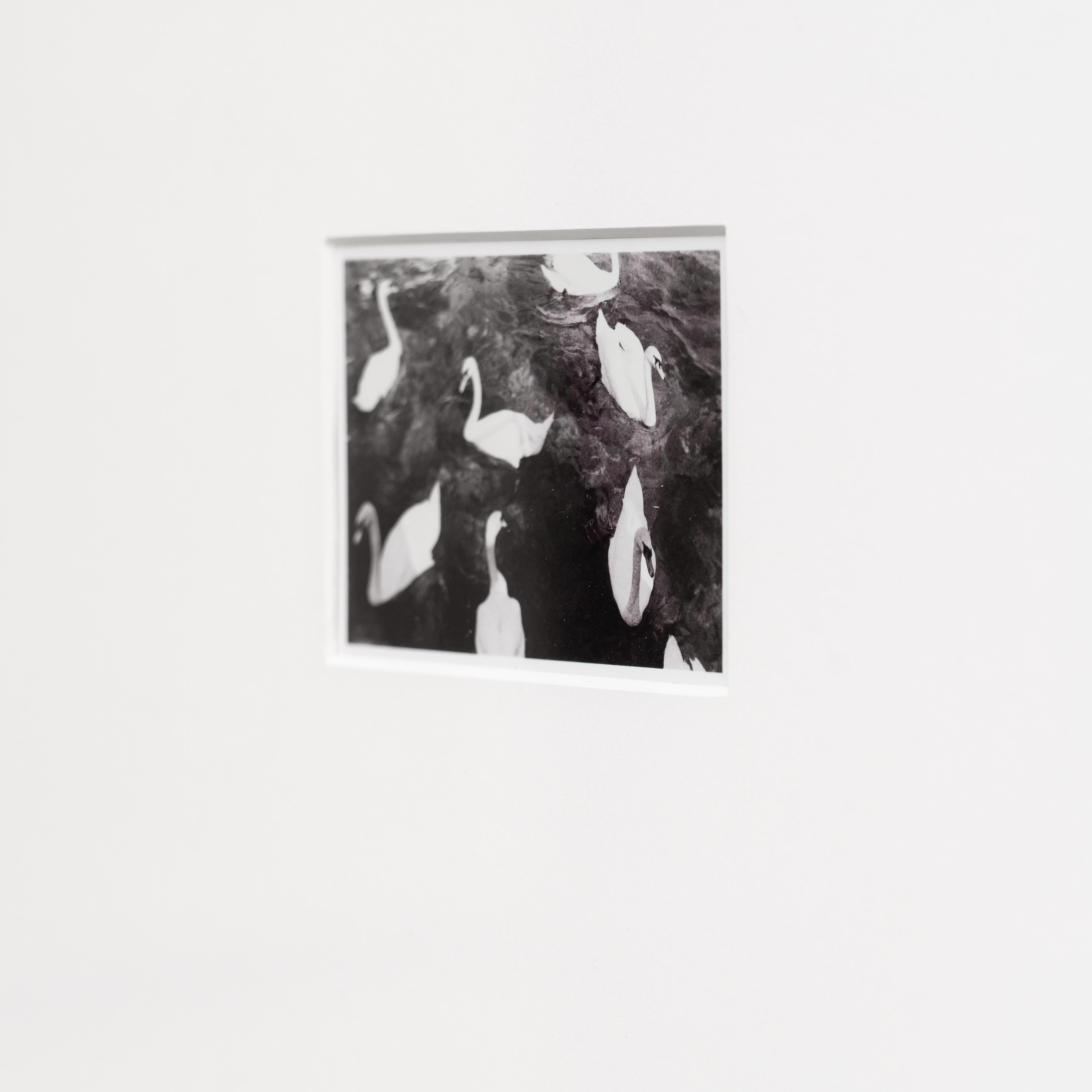 Pascal und Vastian, Schwarz-Weiß-Fotografie gerahmt im Zustand „Gut“ im Angebot in Barcelona, Barcelona