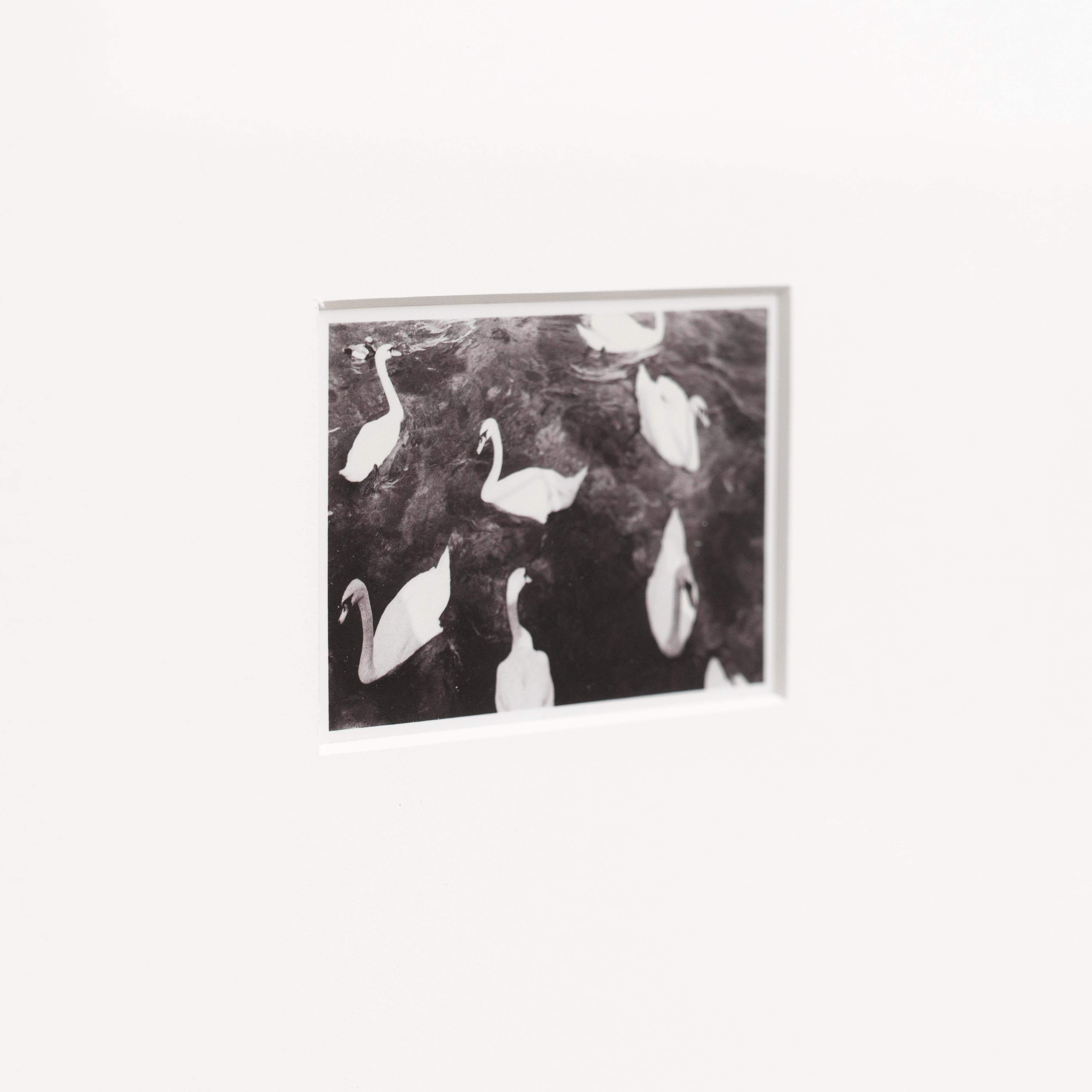 Papier Pascal et Vastian, photographie encadrée en noir et blanc en vente