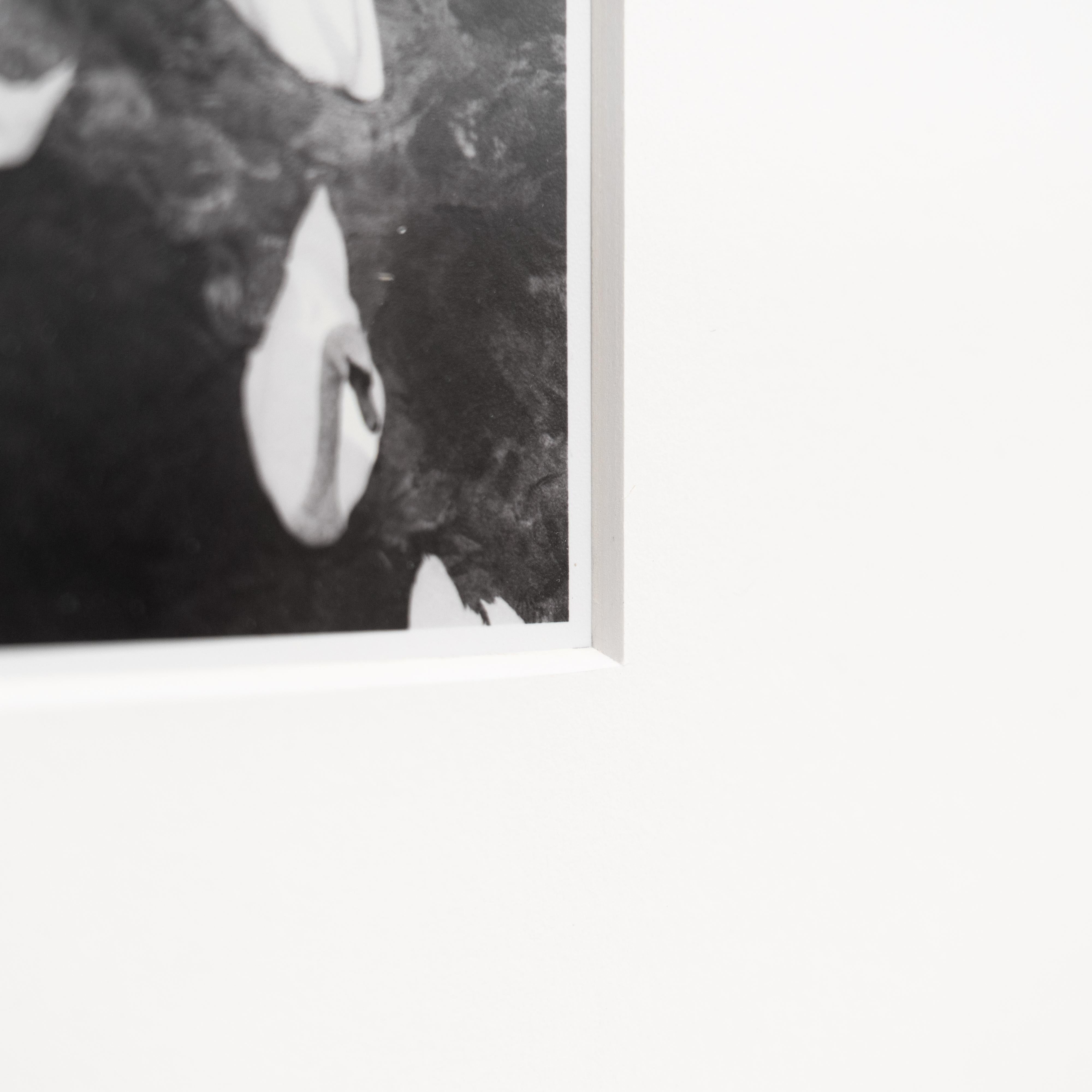 Pascal et Vastian, photographie encadrée en noir et blanc en vente 1
