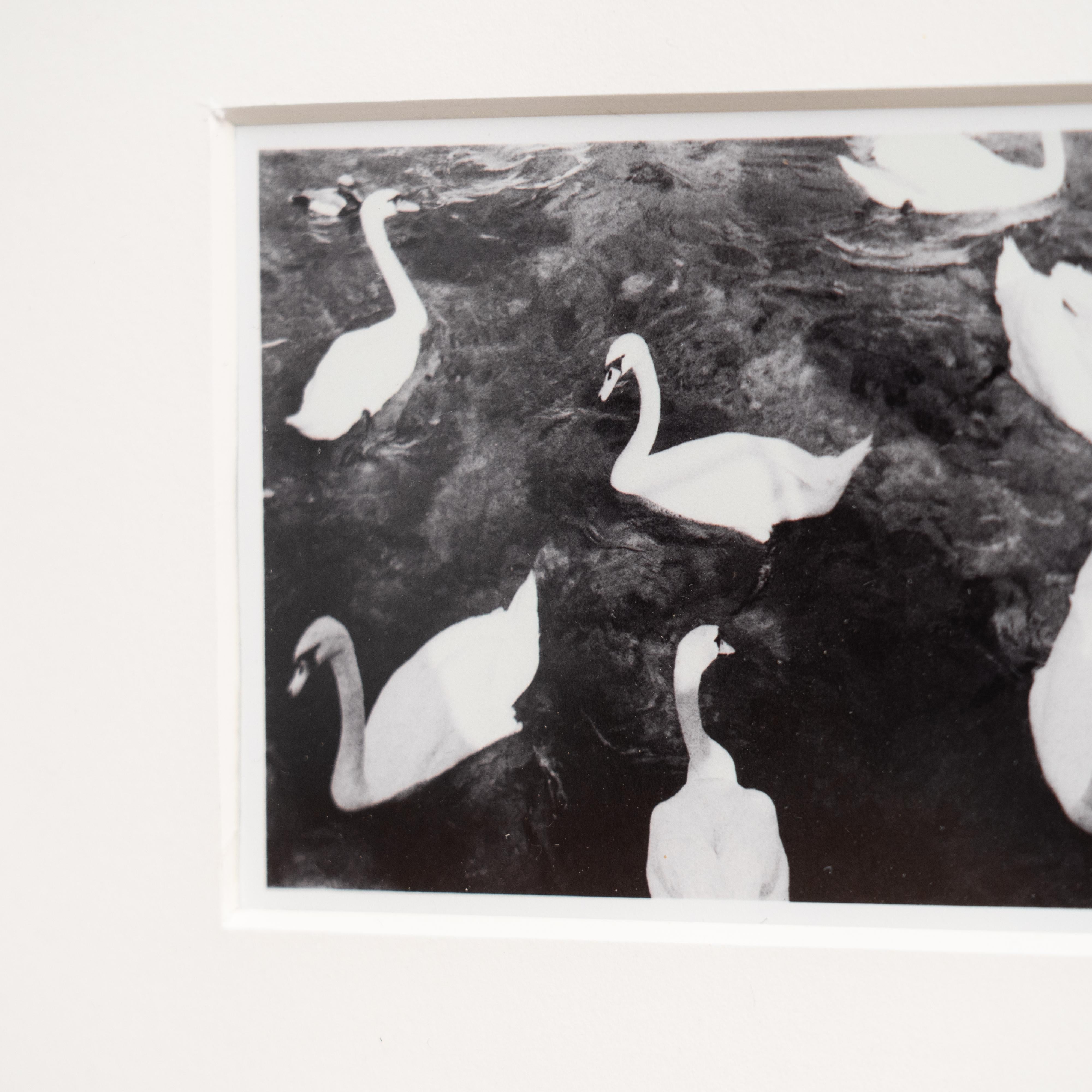 Pascal et Vastian, photographie encadrée en noir et blanc en vente 2