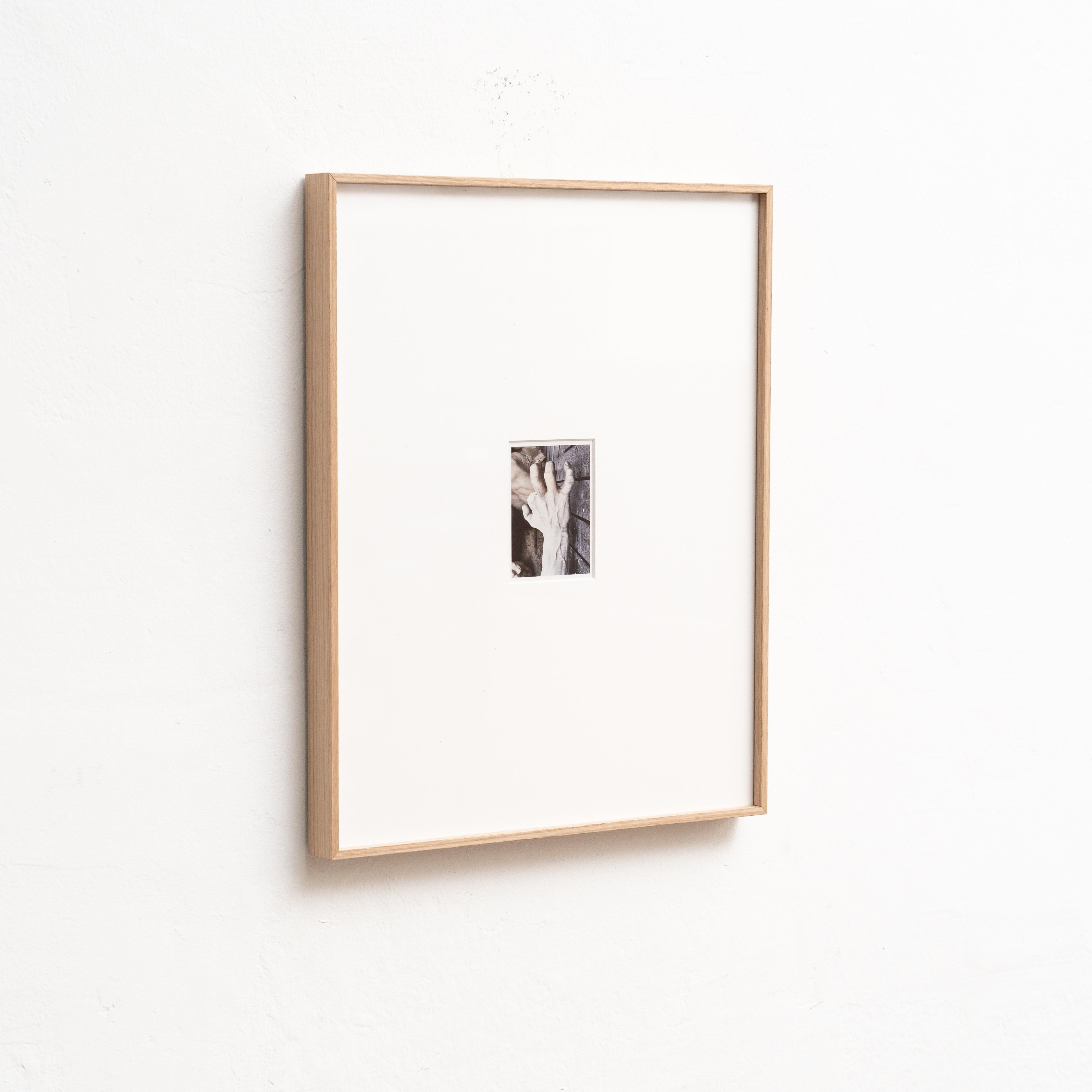 Paper Pascal and Vastian Framed Photography, 2015 For Sale