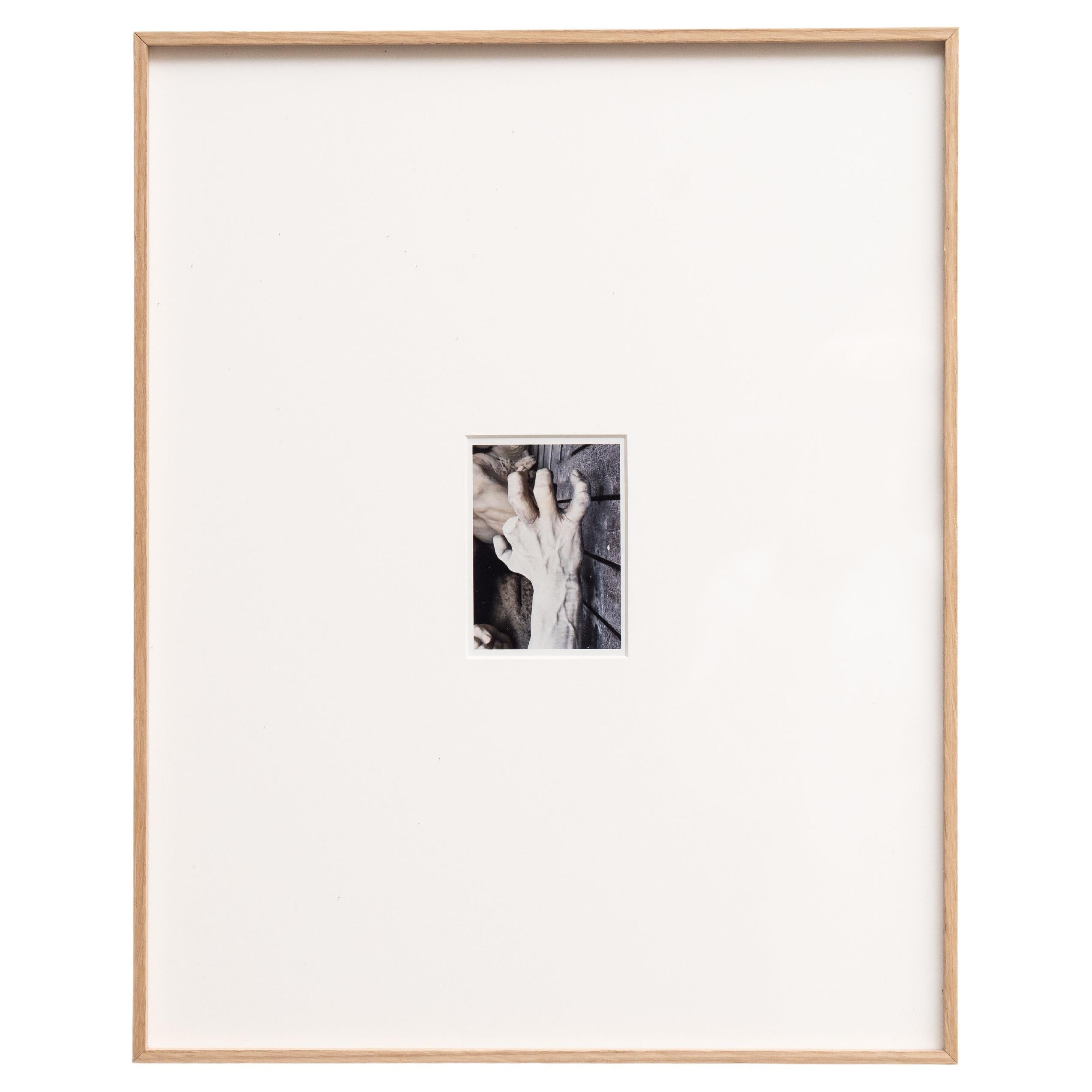 Pascal and Vastian Framed Photography, 2015 For Sale
