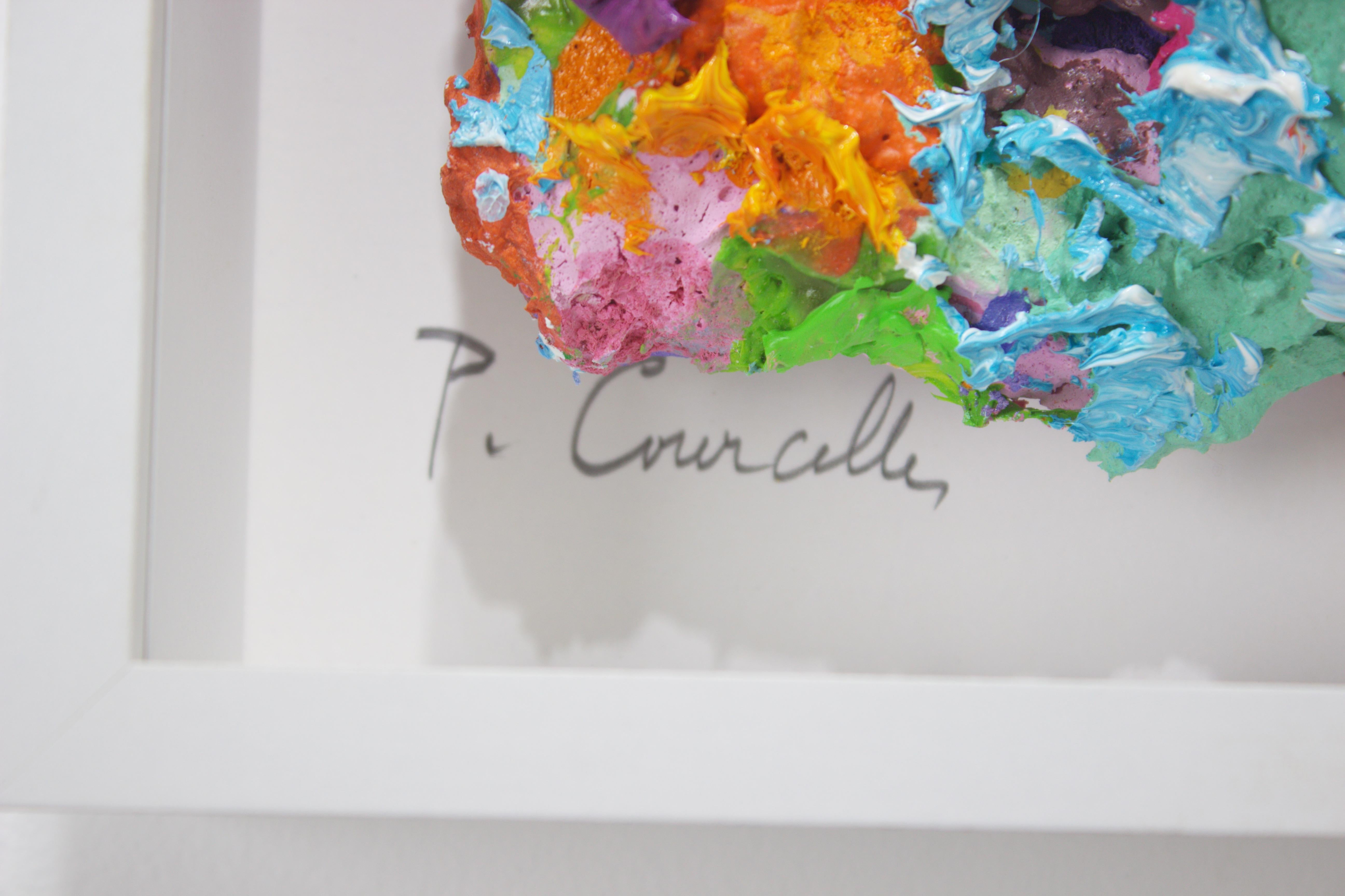 Miniature, 2024 For Sale 6