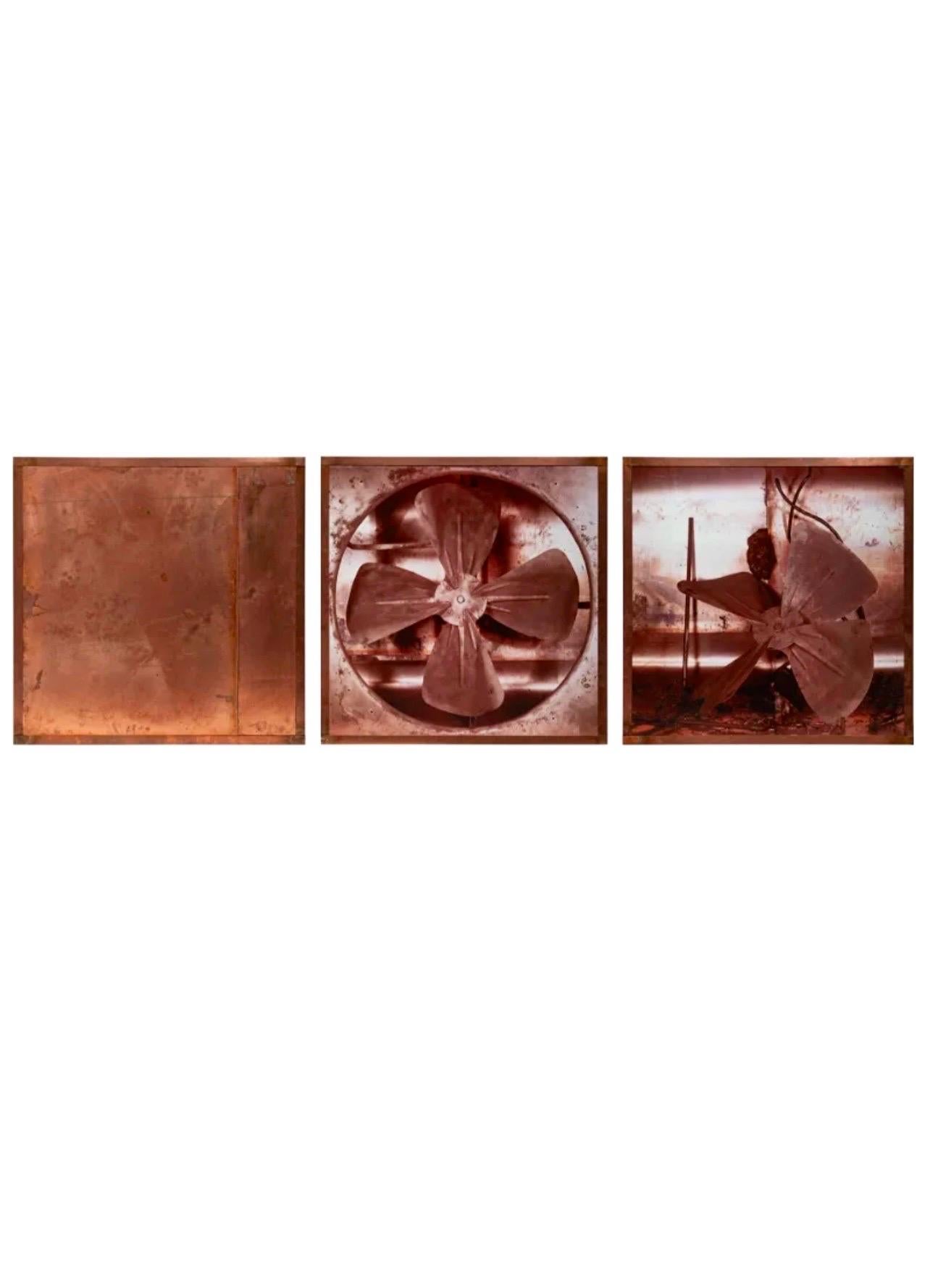 Large French Conceptual Sculpture Photograph Triptych Copper Frame Pascal Kern  For Sale 1