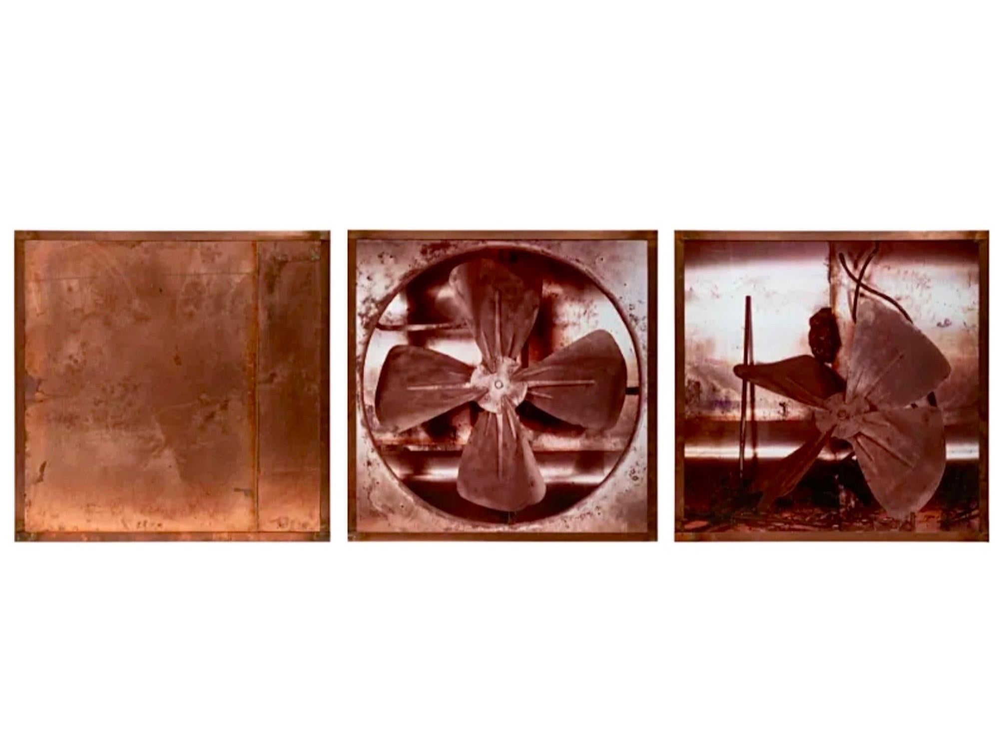 Große große französische Konzeptskulptur-Fotografie-Dreitychon in Kupferrahmen Pascal Kern 