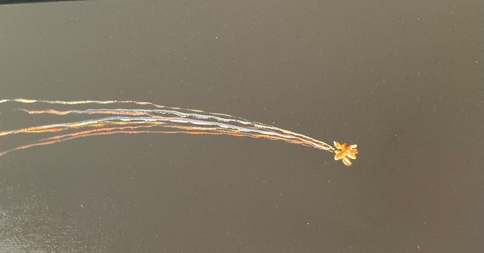 Filzige Toilette im Angebot 3