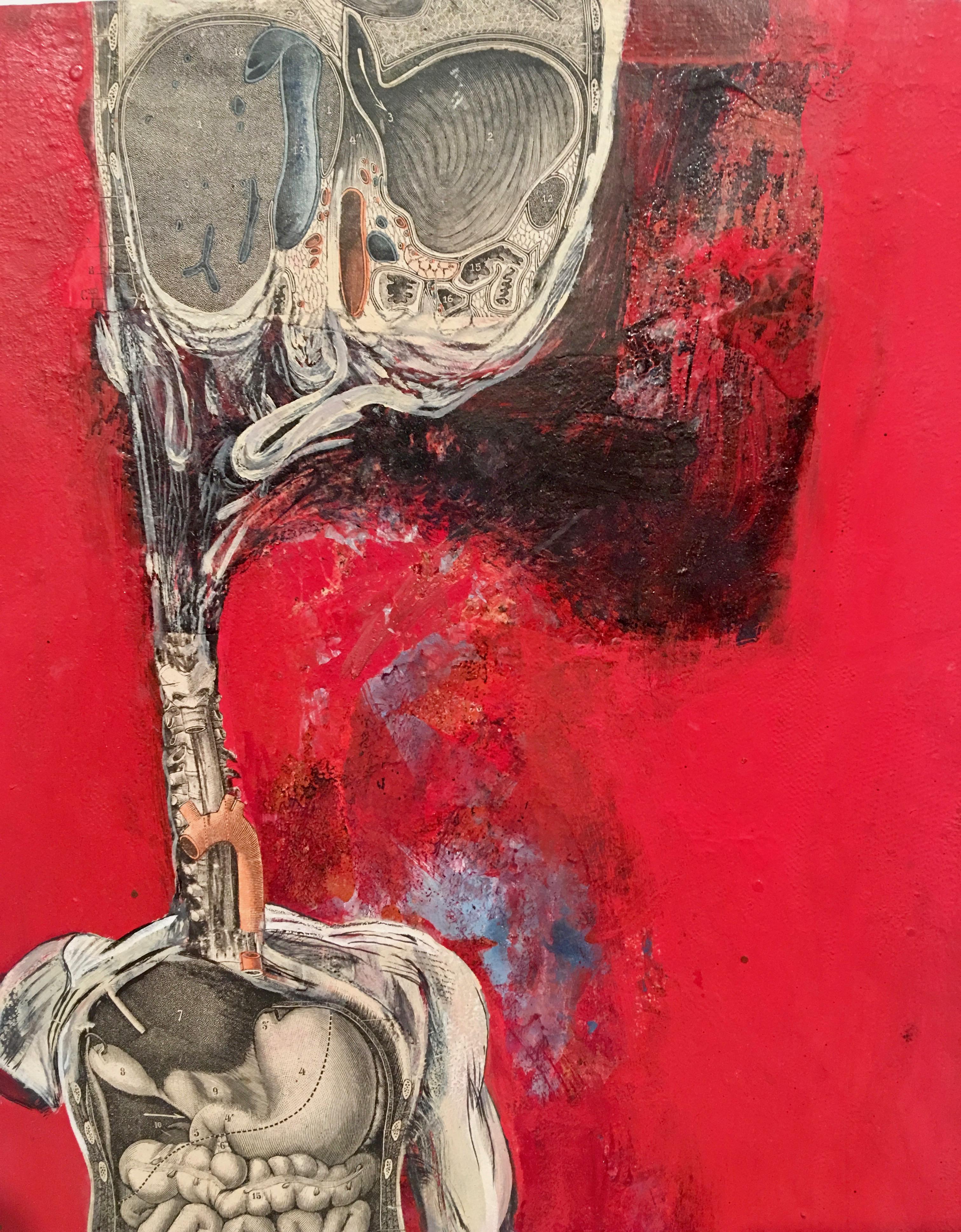 Pascal Pillard's obsession with anatomy and his desire to represent bodies viscerally from the inside out is on full display here. This is a mixed media canvas where parts of the male figure are collaged elements from anatomy textbooks. The organs