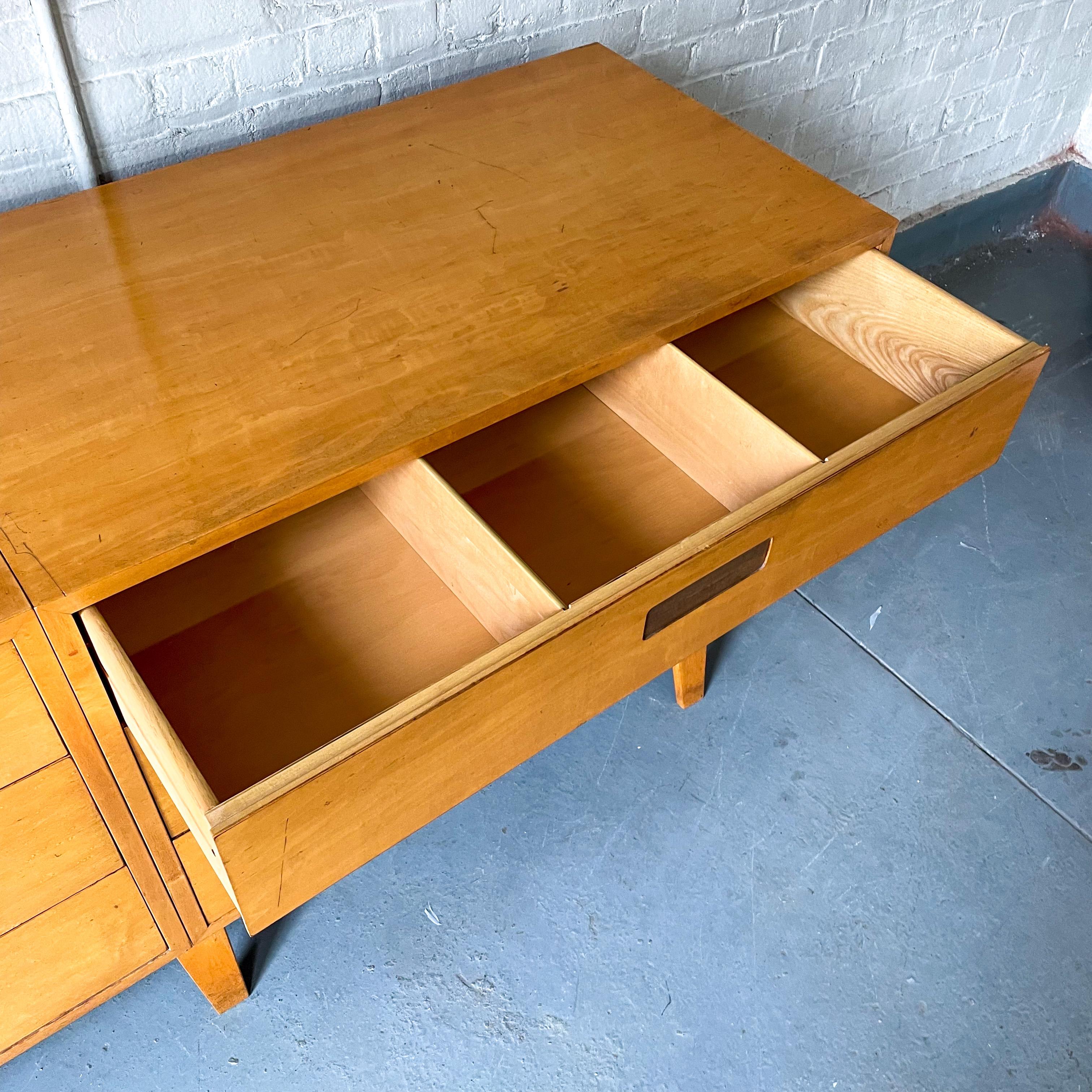 Pascoe Industries Double Chest of Drawers 5