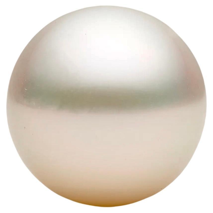 APC Magnificent South Sea Pearl from Australia For Sale