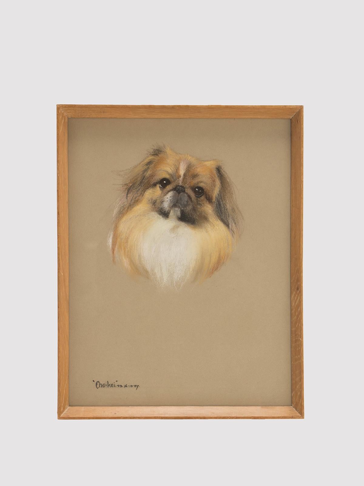 Dessin au pastel sur papier, représentant une tête de chien pékinois, portant l'inscription 