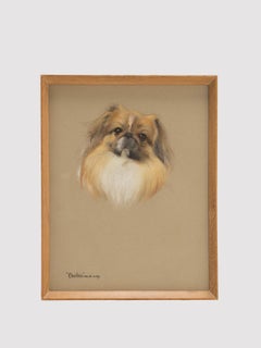 Pastel drawing depicting a Pekingese dog, signed Phyllis Binet, England 1950 ca.