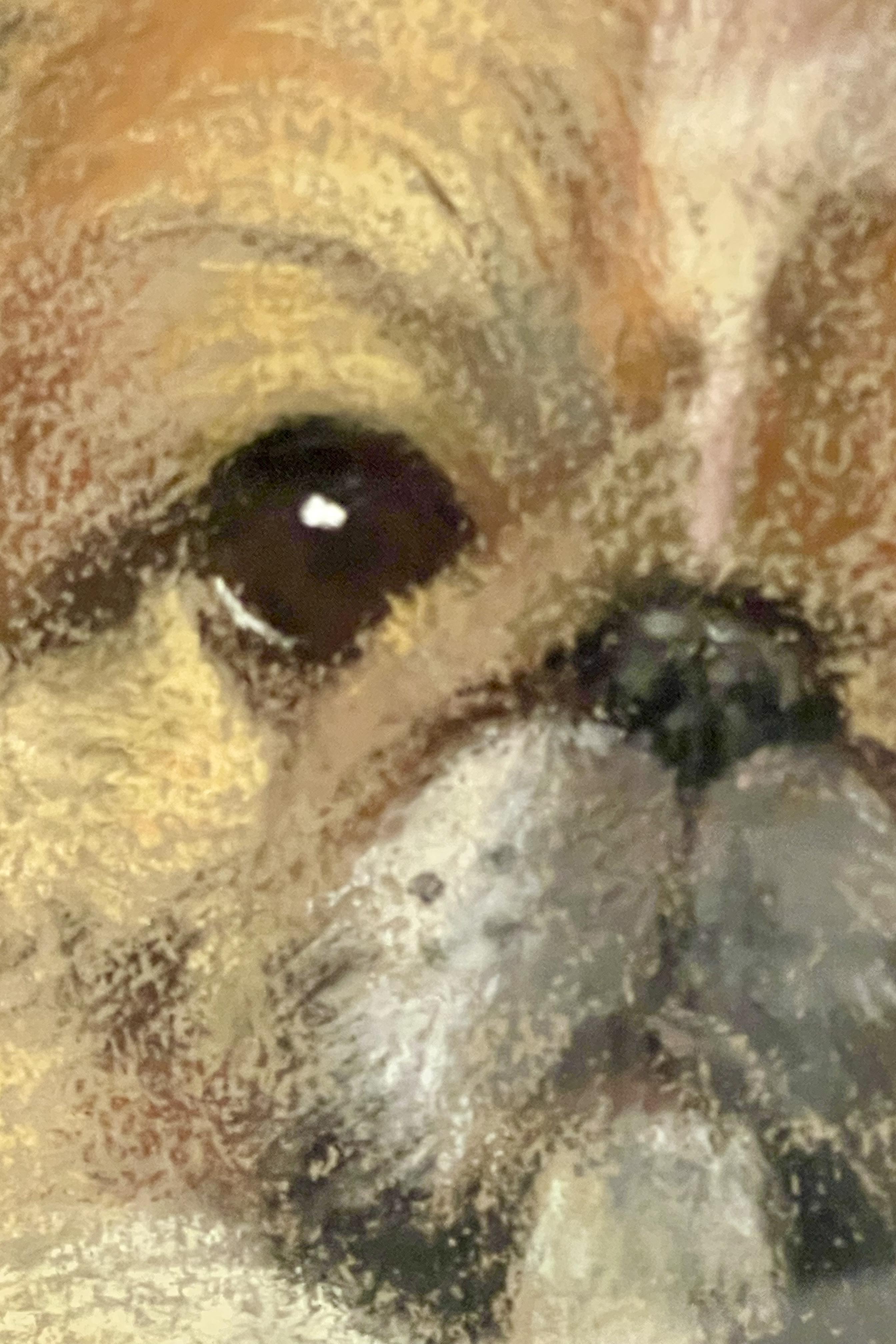 dessin au pastel représentant un chien pékinois, signé Phyllis Binet, Angleterre, 1950 environ en vente 3