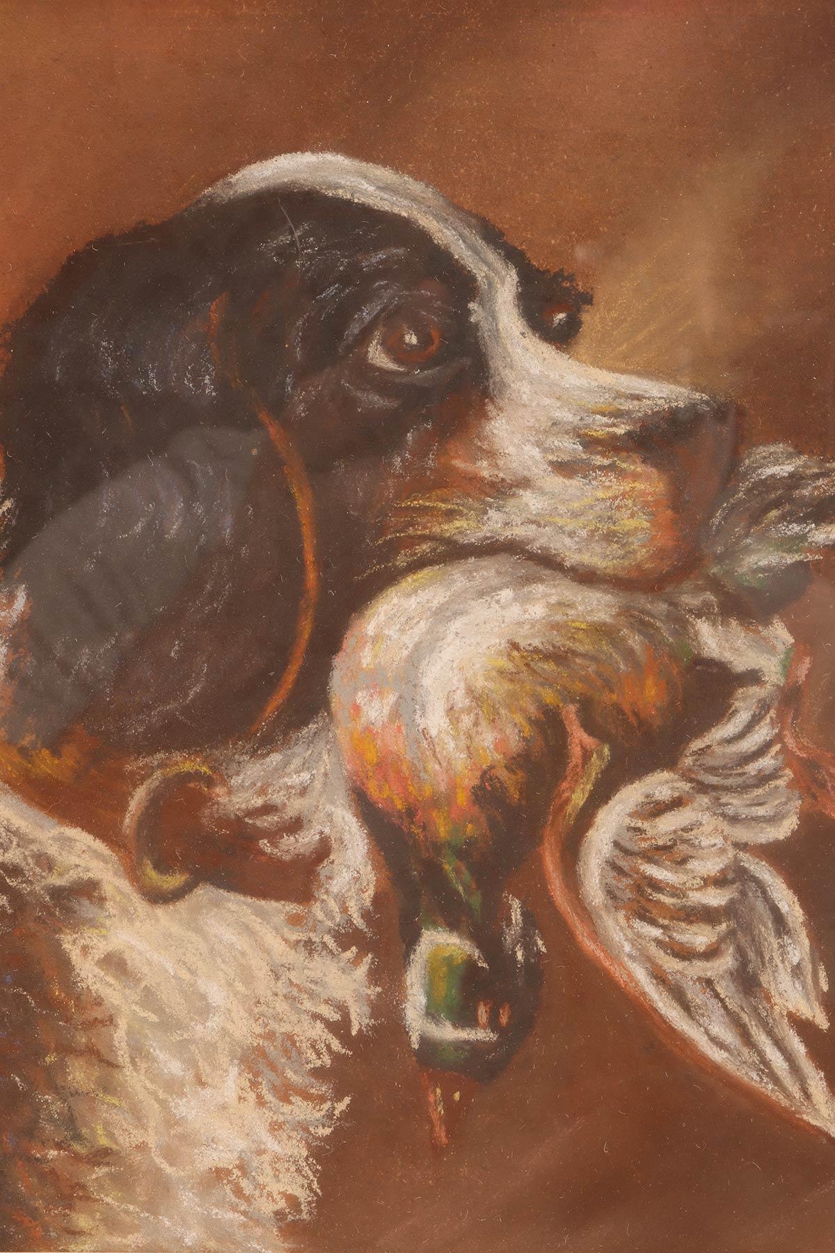 Pastellbild, das den Kopf eines Cocker Spaniels mit einer Ente darstellt England 1930 (Englisch) im Angebot