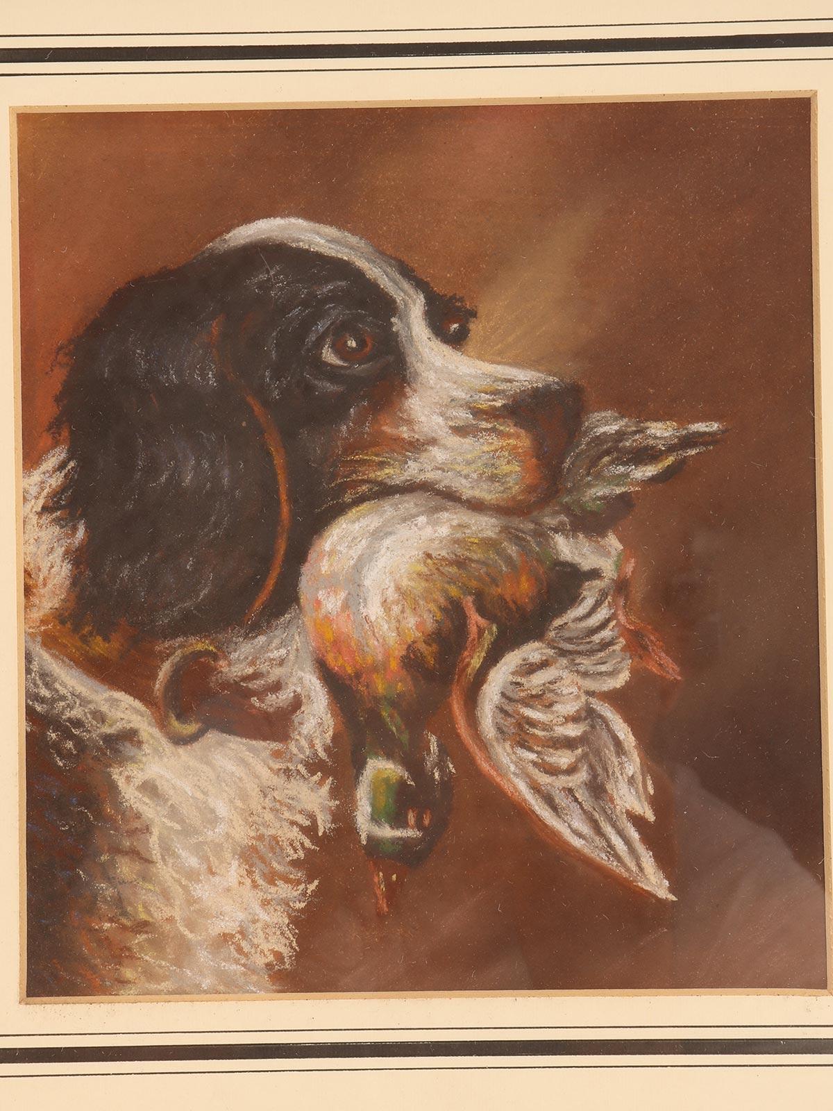 Pastellbild, das den Kopf eines Cocker Spaniels mit einer Ente darstellt England 1930 (Mitte des 20. Jahrhunderts) im Angebot