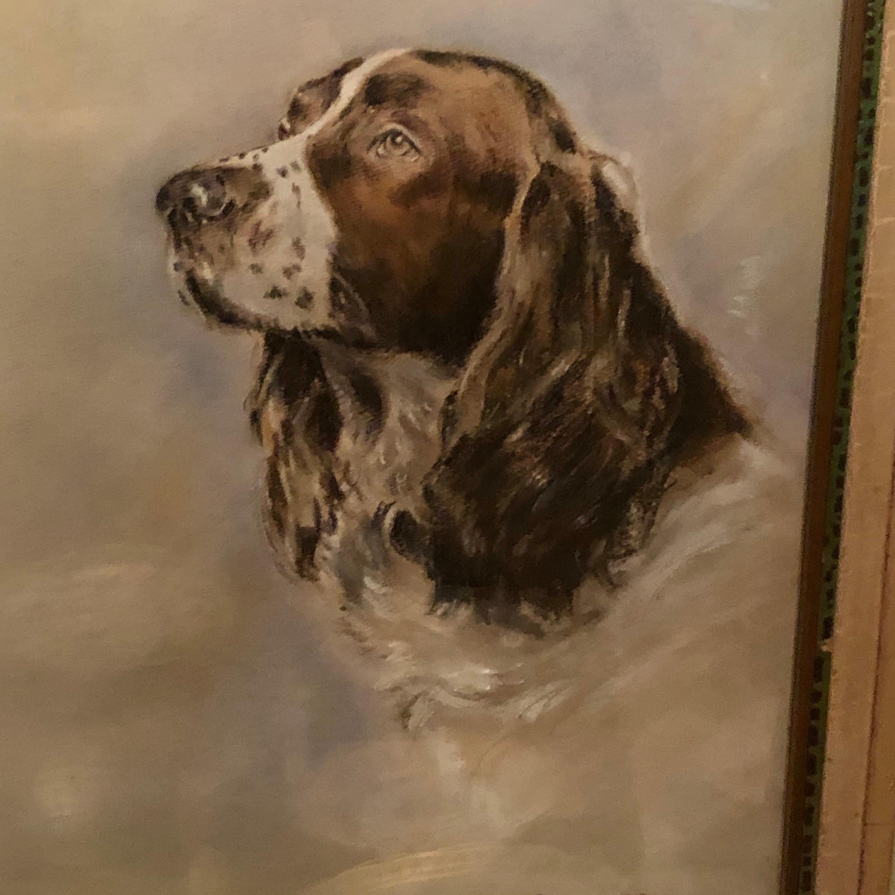 American Pastel Painting of an English Springer Spaniel artist signed Charles A. Phelps