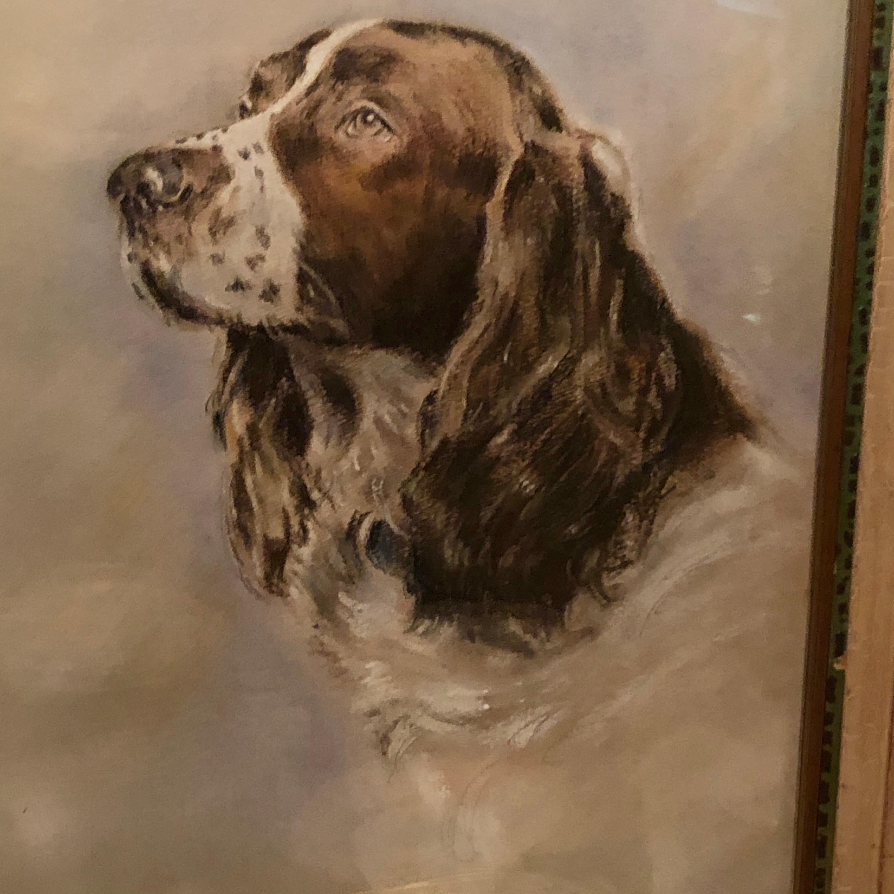 Hand-Painted Pastel Painting of an English Springer Spaniel artist signed Charles A. Phelps