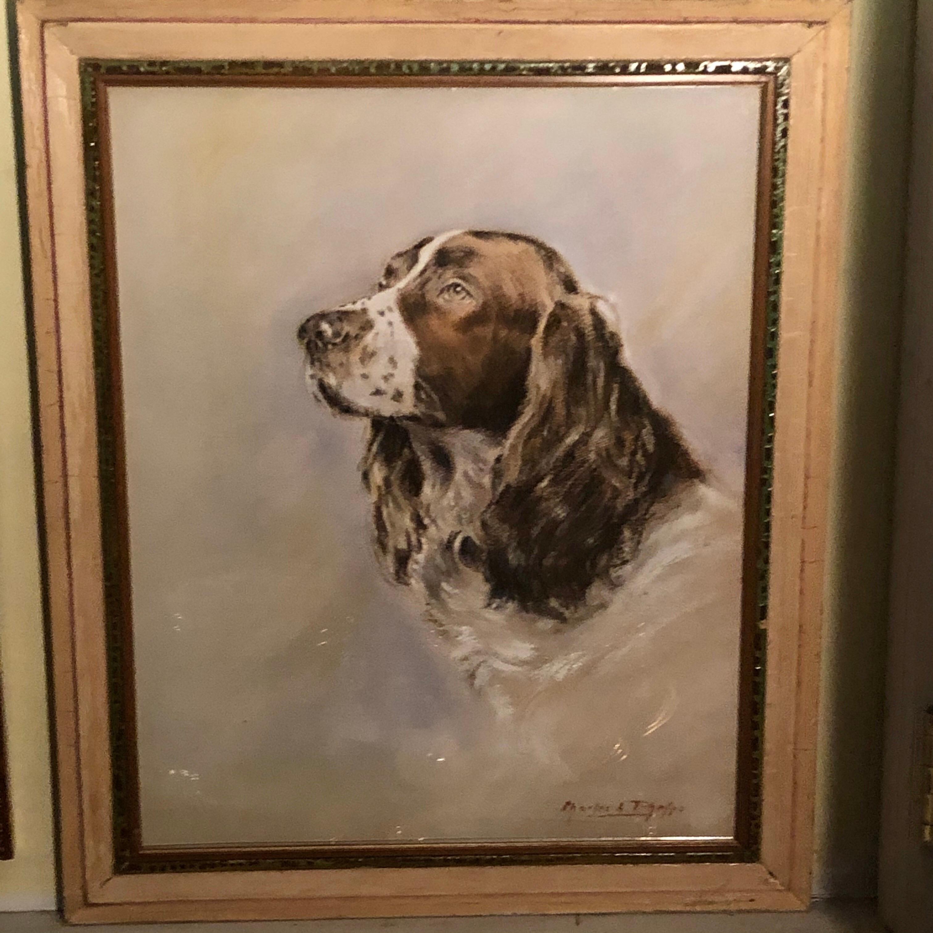 Pastel Painting of an English Springer Spaniel artist signed Charles A. Phelps In Good Condition In Boston, MA