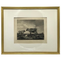 Pastoral Cows Black and White Scene