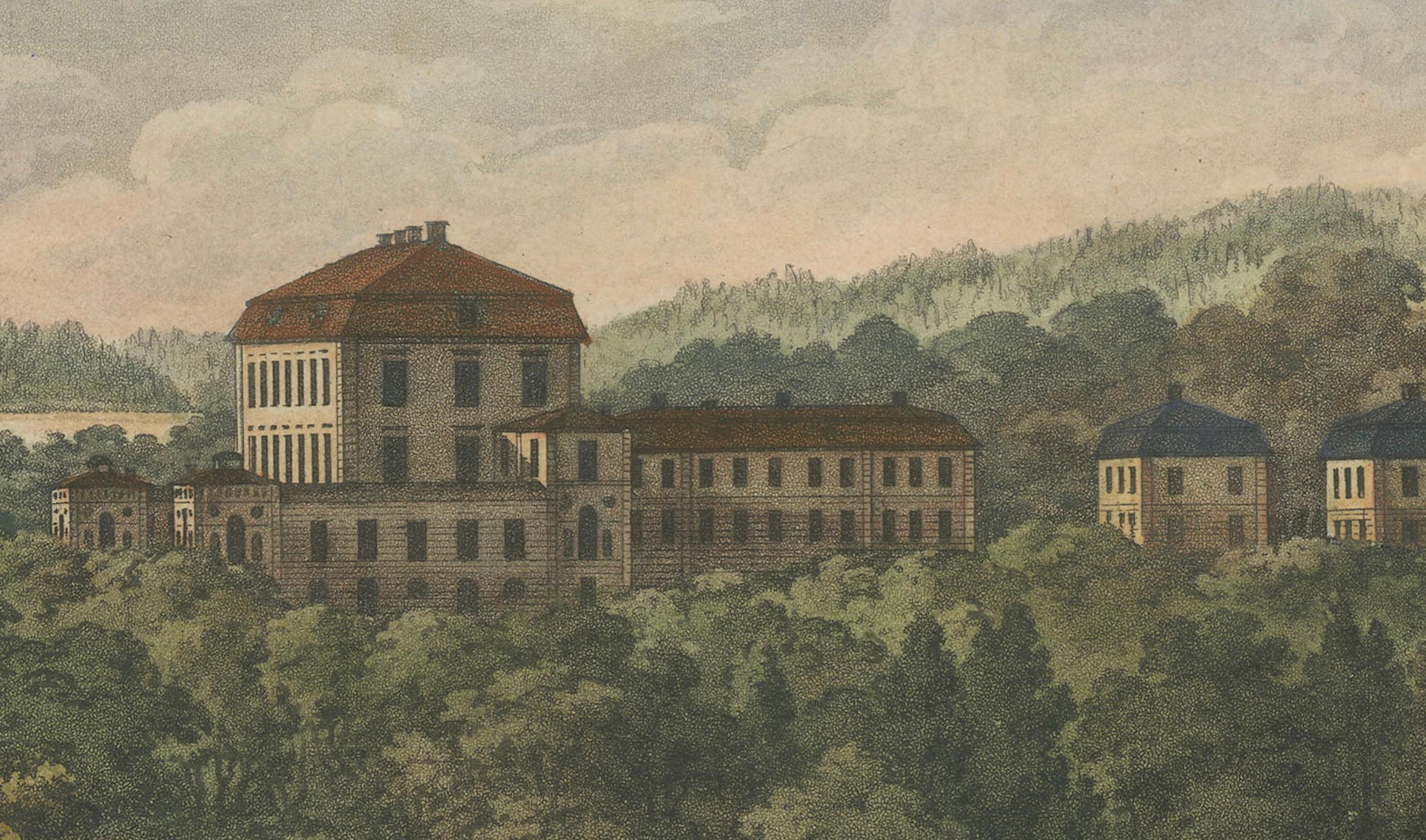 Pastoral Elegance: Ulrik Thersners Aquatinta des Schlosses Djursholm aus dem Jahr 1824 (Frühes 19. Jahrhundert) im Angebot