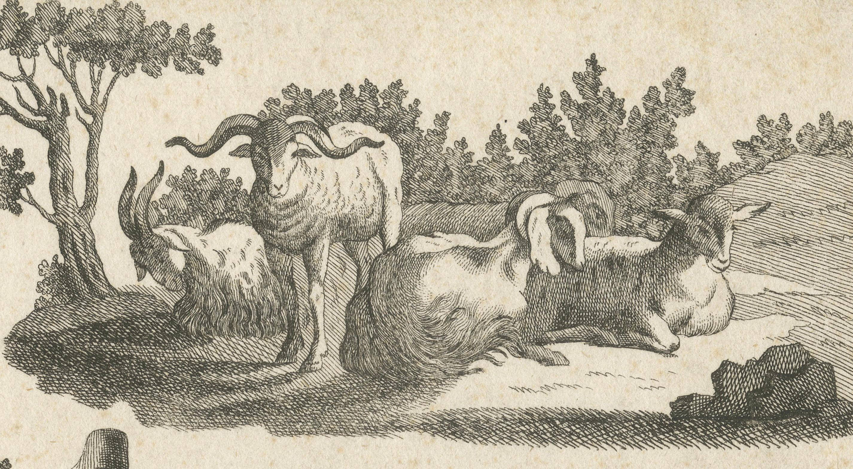 Paper Pastoral Scenes: A Study of Rural Life and Animals, 1770 For Sale