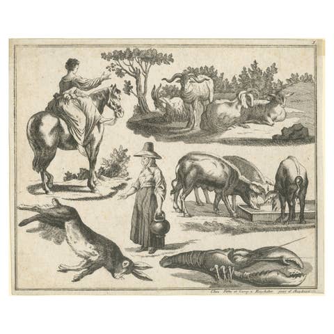 Pastoral Scenes: A Study of Rural Life and Animals, 1770