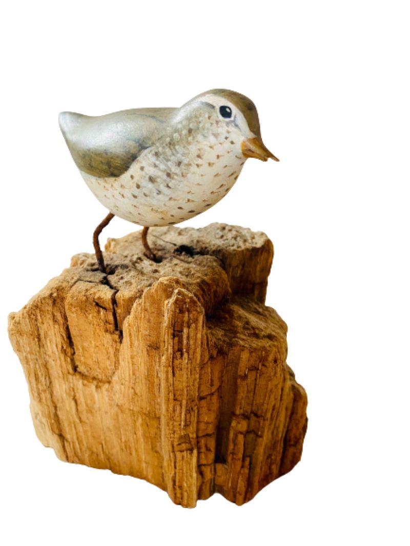 American Pat Gardner Carved and Decorated Spotted Sandpiper, 1977