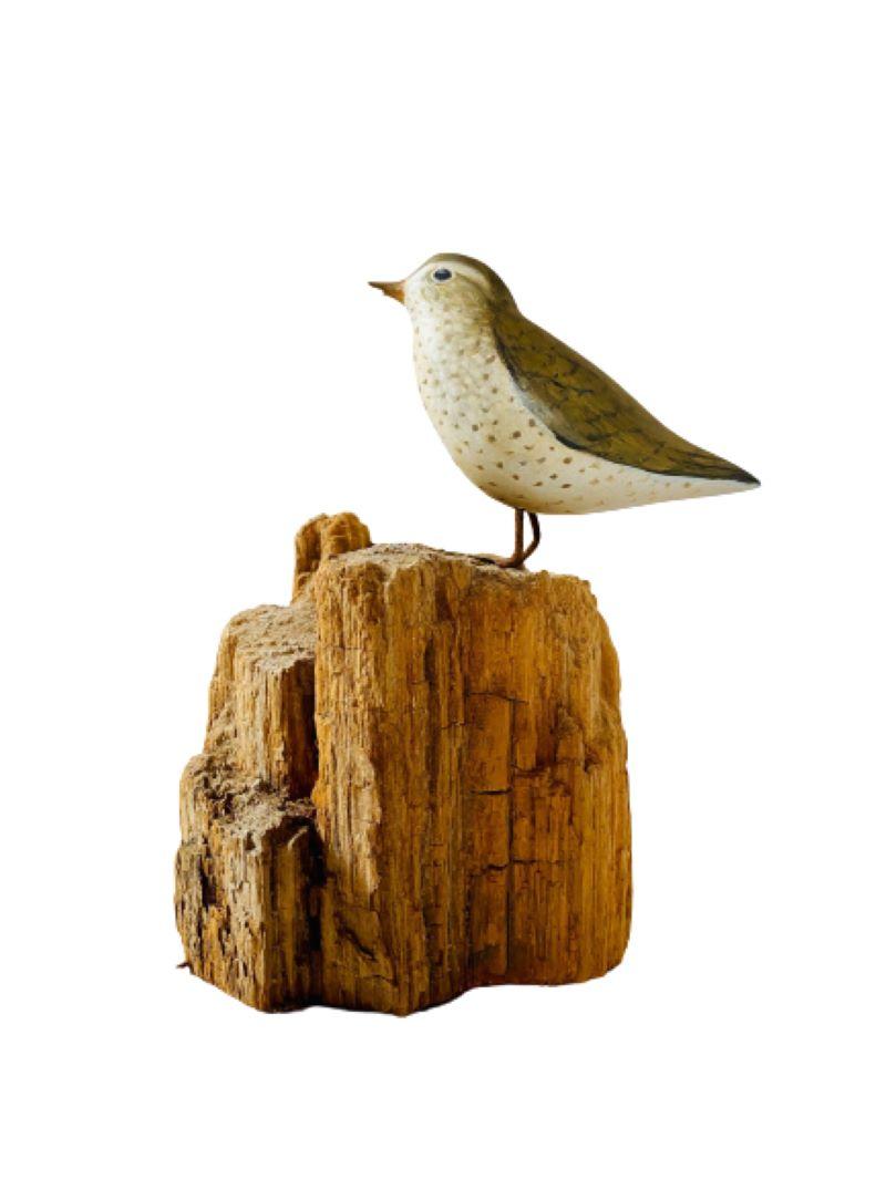 Hand-Carved Pat Gardner Carved and Decorated Spotted Sandpiper, 1977