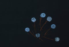 Settled - dark, expressive, minimalist, abstracted florals, acrylic on canvas