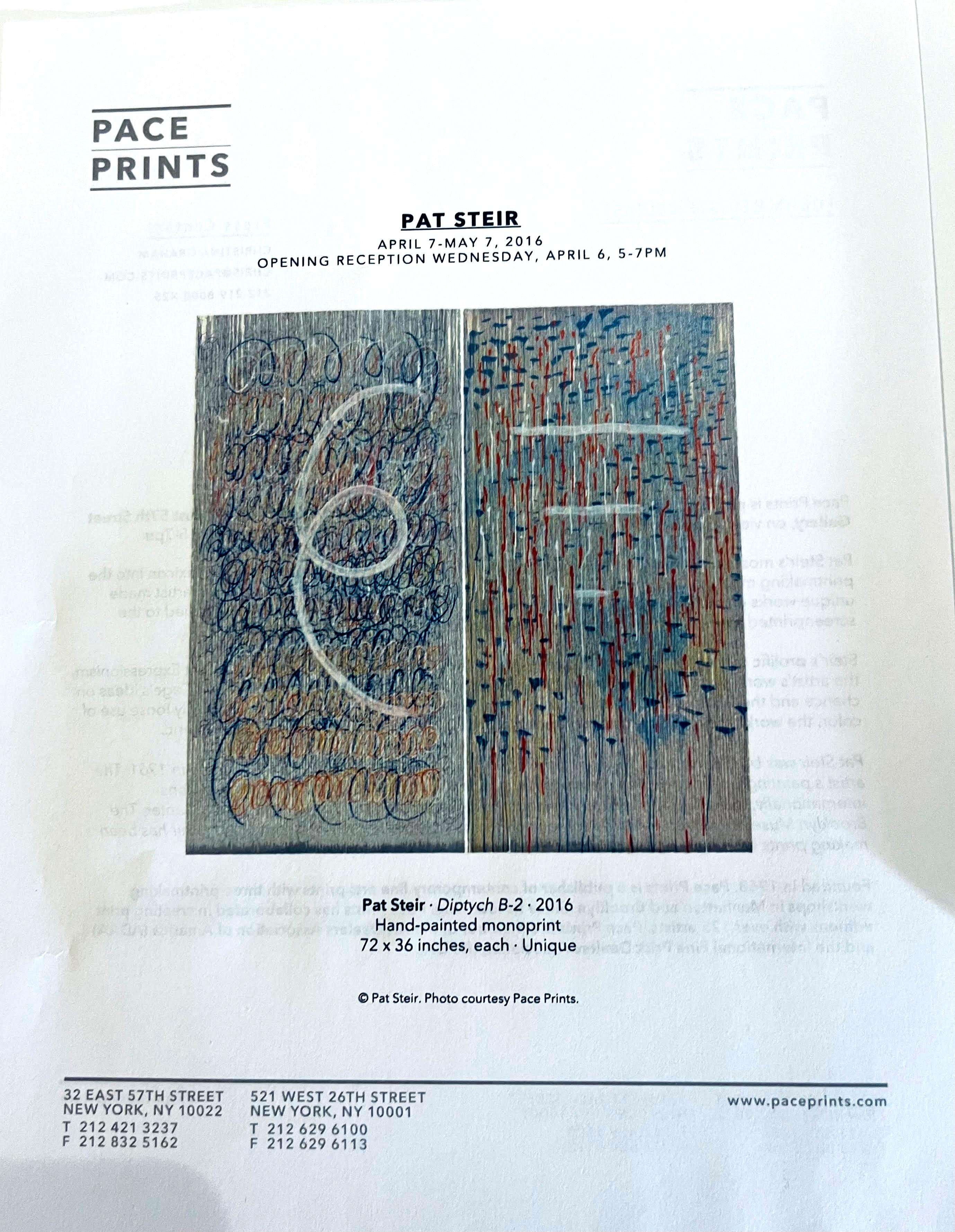 Limited Edition Monograph: Pat Steir (Hand signed and inscribed by Pat Steir) For Sale 8