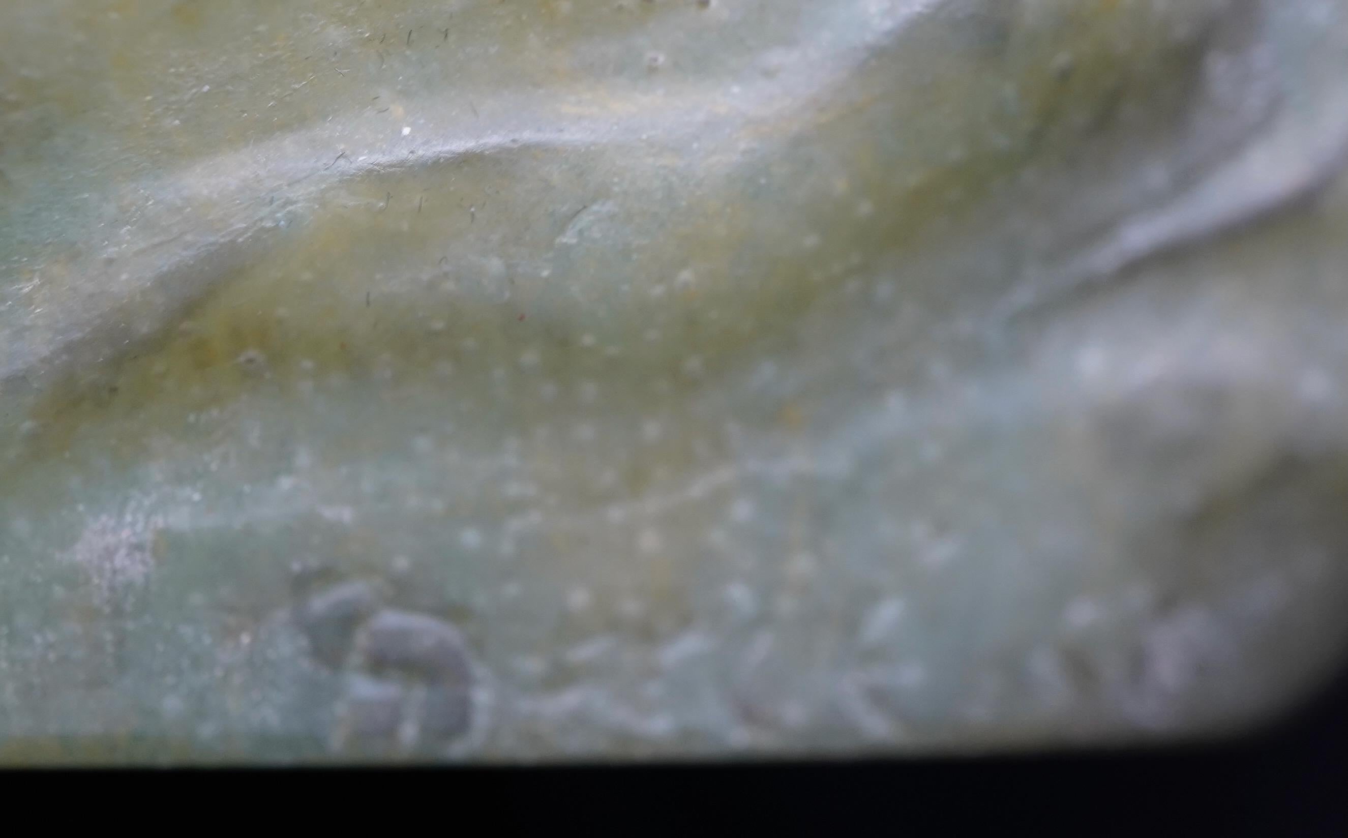 Pate de Verre Vide-Poche con cavalluccio marino (Hippocampo) di  Walter e Berge. in vendita 2