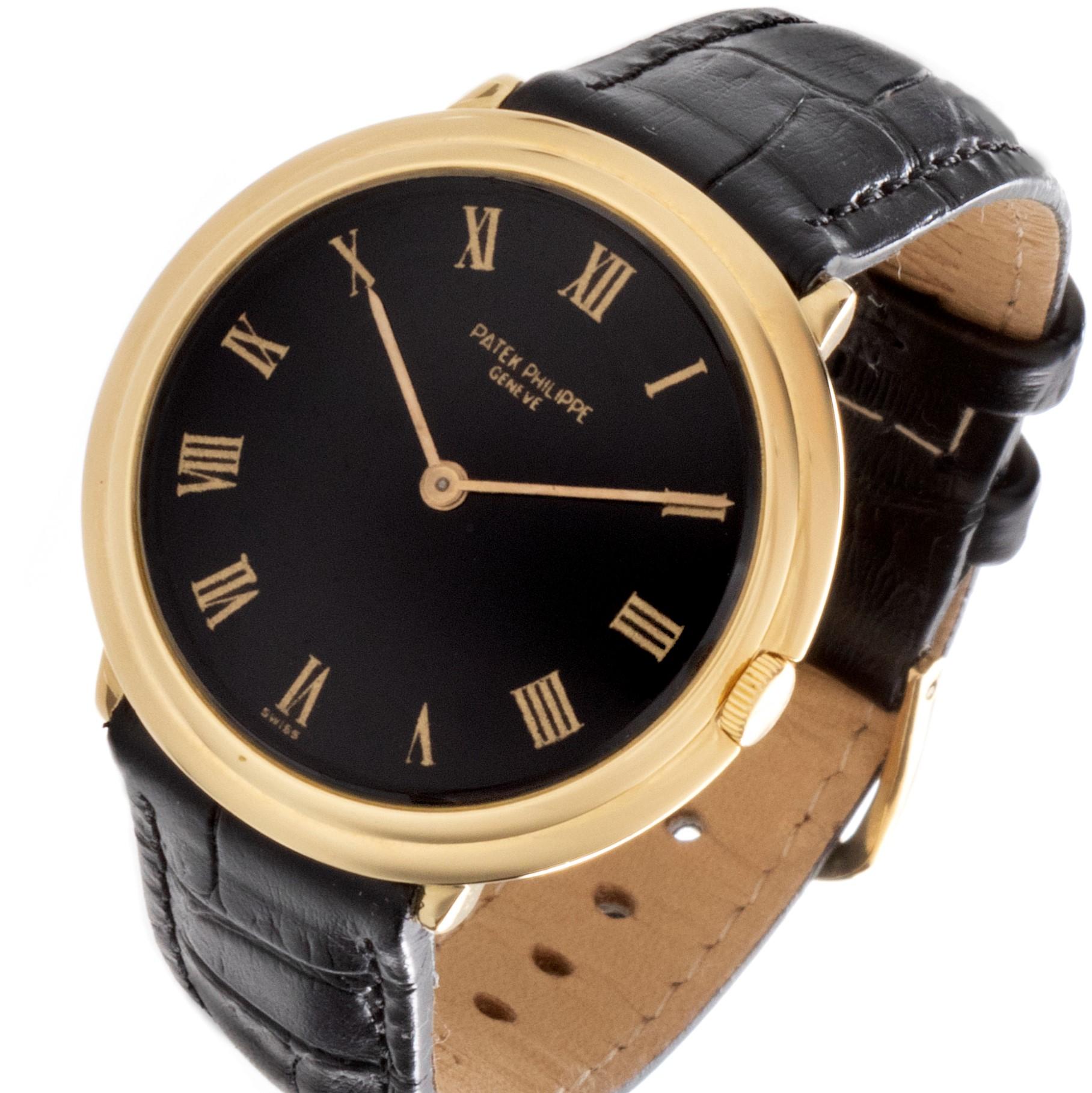 palek watch