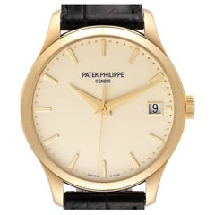 Patek Philippe Montre Calatrava pour homme en or jaune avec boîtier chasseur 5227