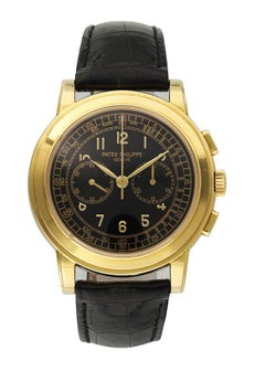 Patek Philippe Complications Chronograph 5070J-001 Men's Watch