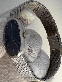 Patek Philippe Ellipse 3548G Reprinted-Blue Dial 18K White Gold Watch