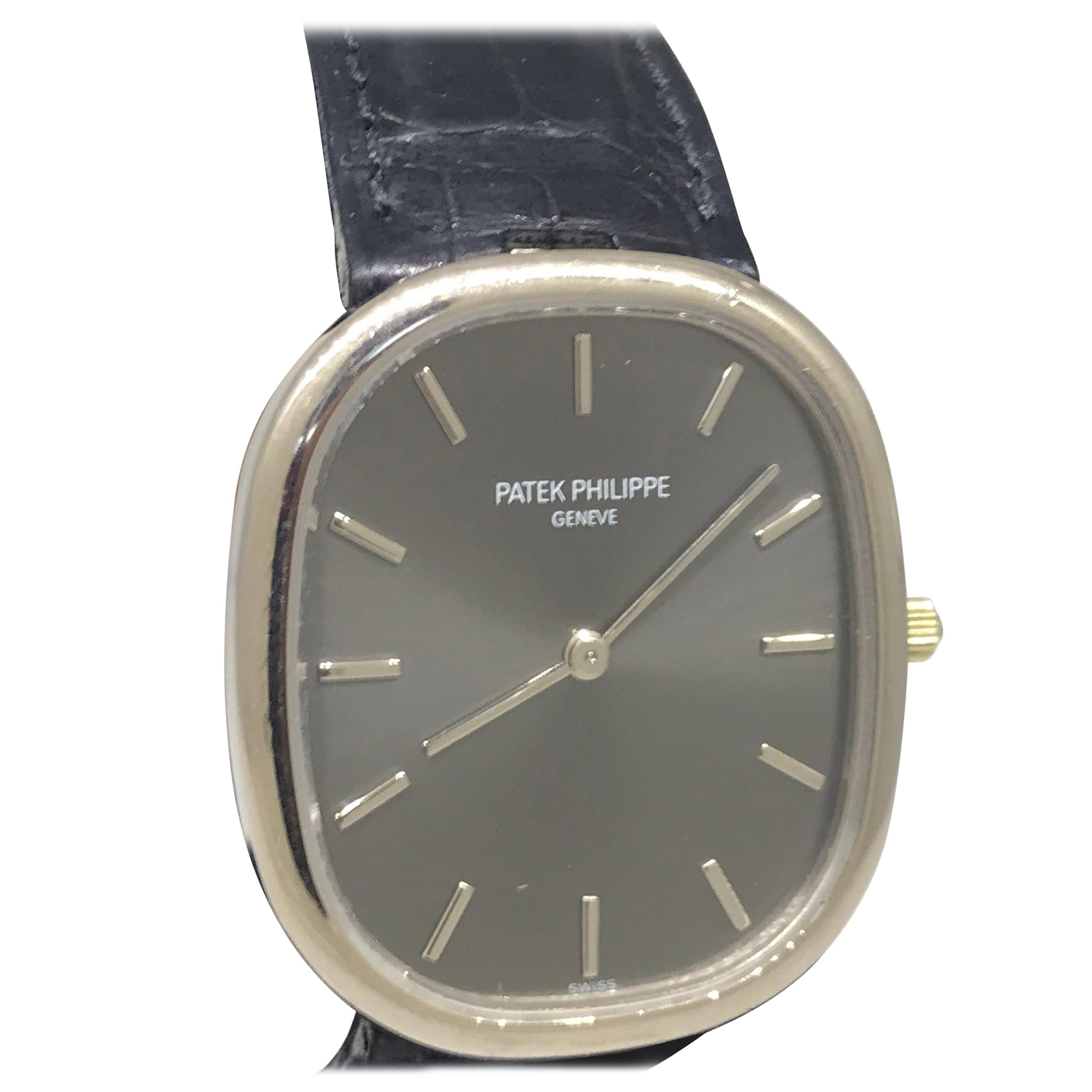 Patek Philippe Ellipse Men's White Gold Automatic Gray Dial Watch 3738/100G For Sale