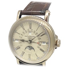 Montre homme Patek Philippe Grand Complications Perpetual en or blanc 5159G-001