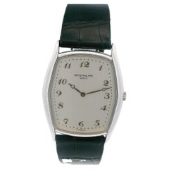 Patek Philippe Tonneau 3842P "Fantaisie" Platinum Watch & Papers