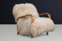 Sillas de salón de madera curvada patinada de Kozelka & Kropáček en islandés de pelo largo.