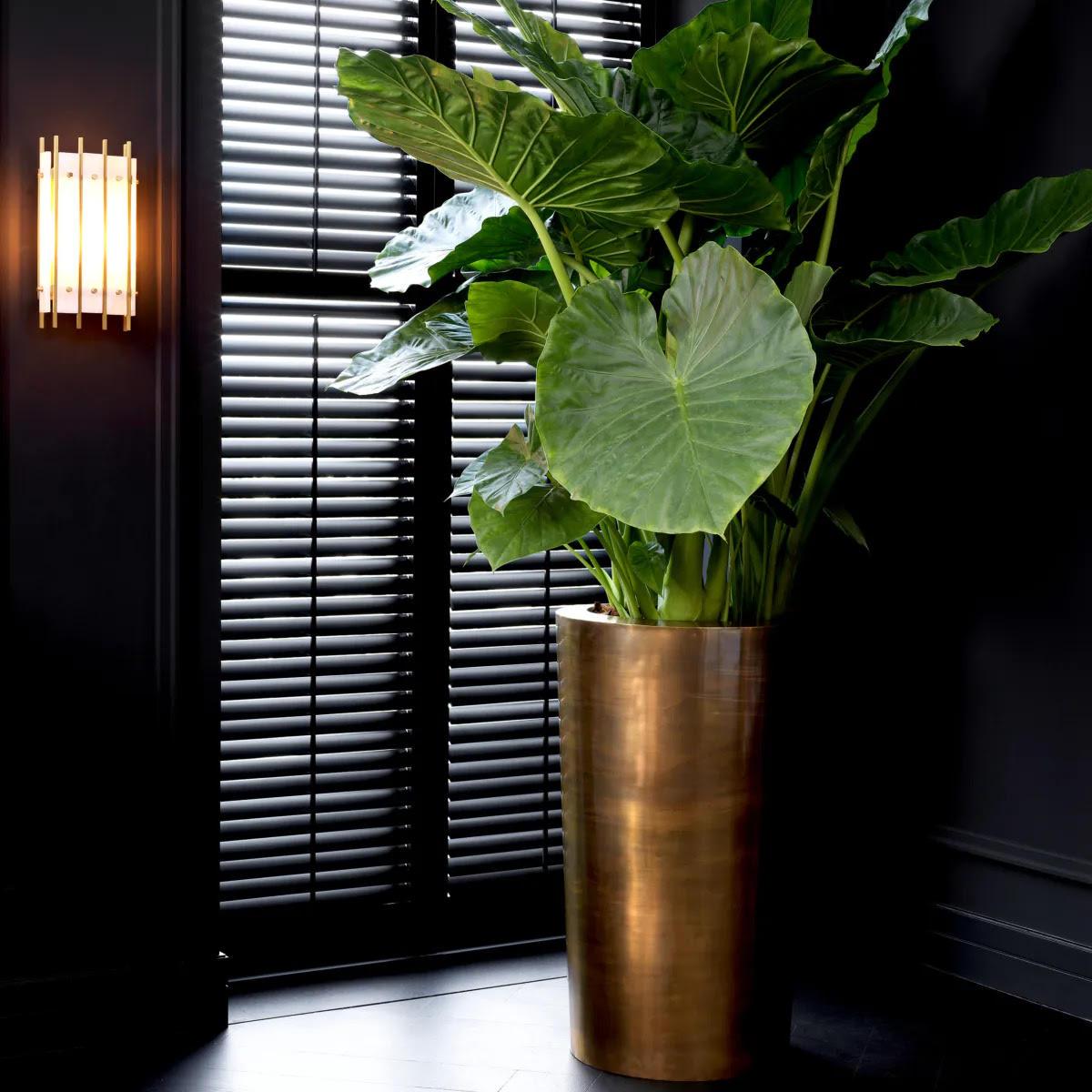 Patinated brass planter, handcrafted

This planter features a patinated brass finish, giving it a sophisticated antique touch, ideal for any luxurious interior.

Ø 60  H. 99.5 cm