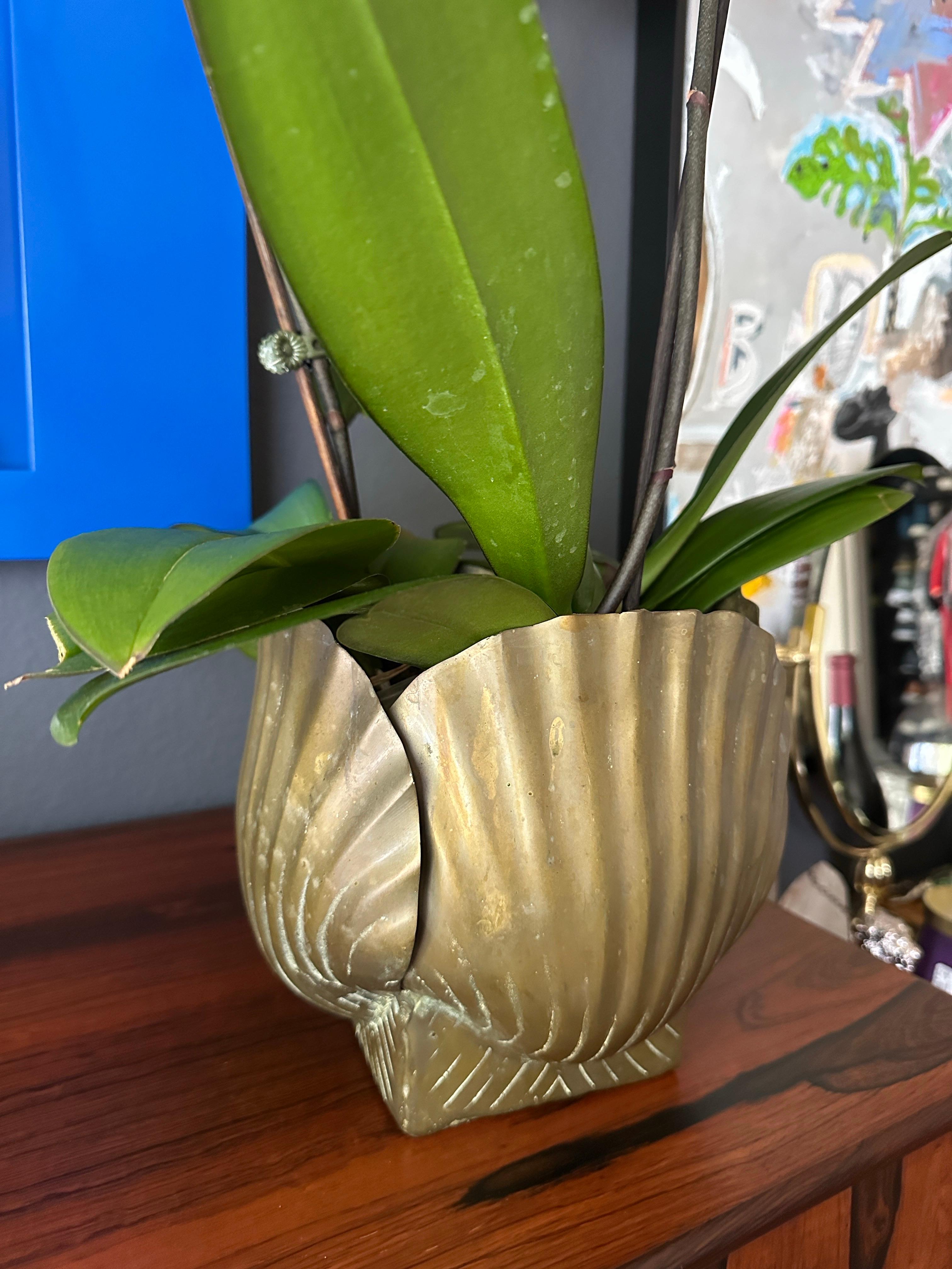 Patinated Brass Sea Shell Planter 4