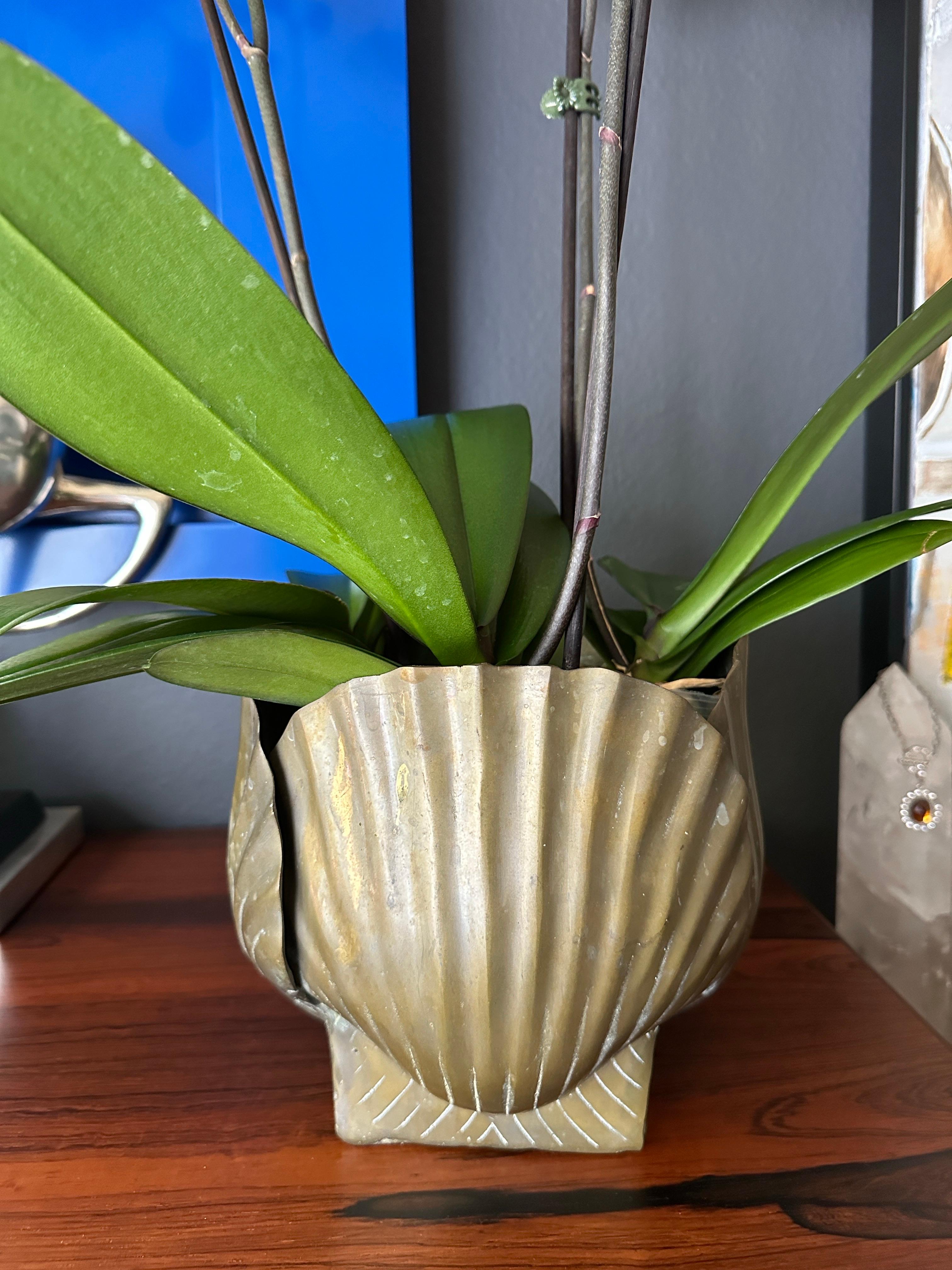 Patinated Brass Sea Shell Planter 5